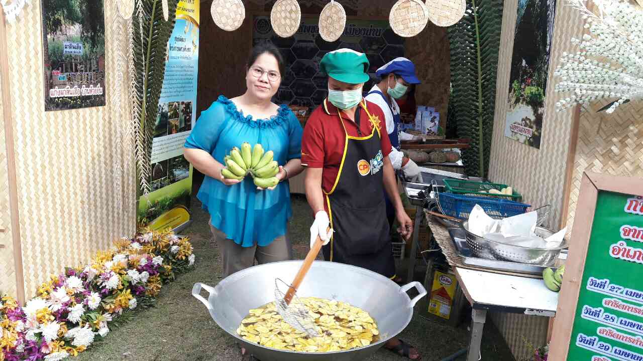 สพจ.น่าน ร่วมพิธีเปิดการจัดงานประจำปีและของดีเมืองน่าน ประจำปี 2561