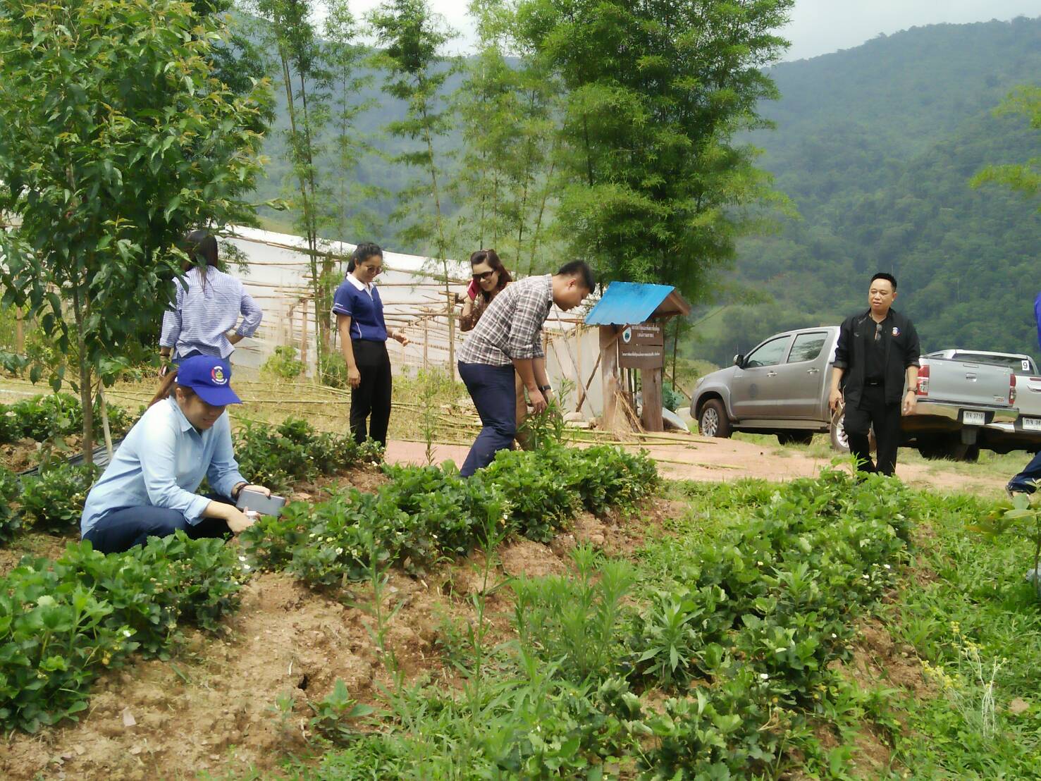 สพจ.น่าน ตรวจเยี่ยมให้กำลังใจการเตรียมความพร้อมหมู่บ้าน OTOP นวัตวิถี