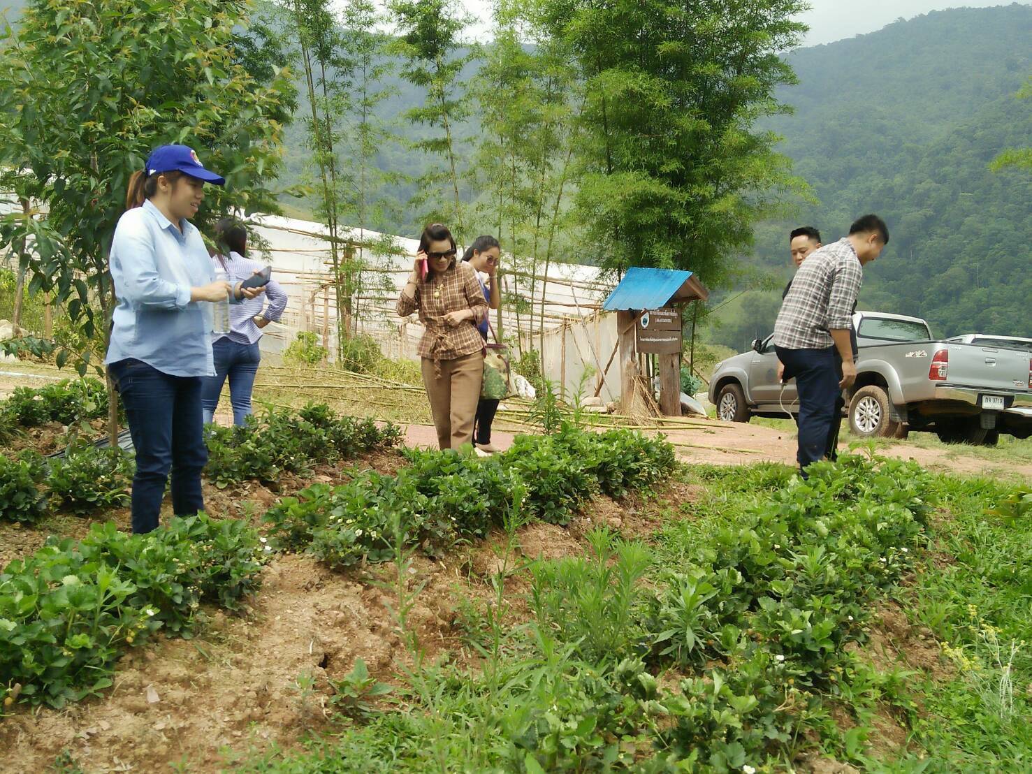 สพจ.น่าน ตรวจเยี่ยมให้กำลังใจการเตรียมความพร้อมหมู่บ้าน OTOP นวัตวิถี