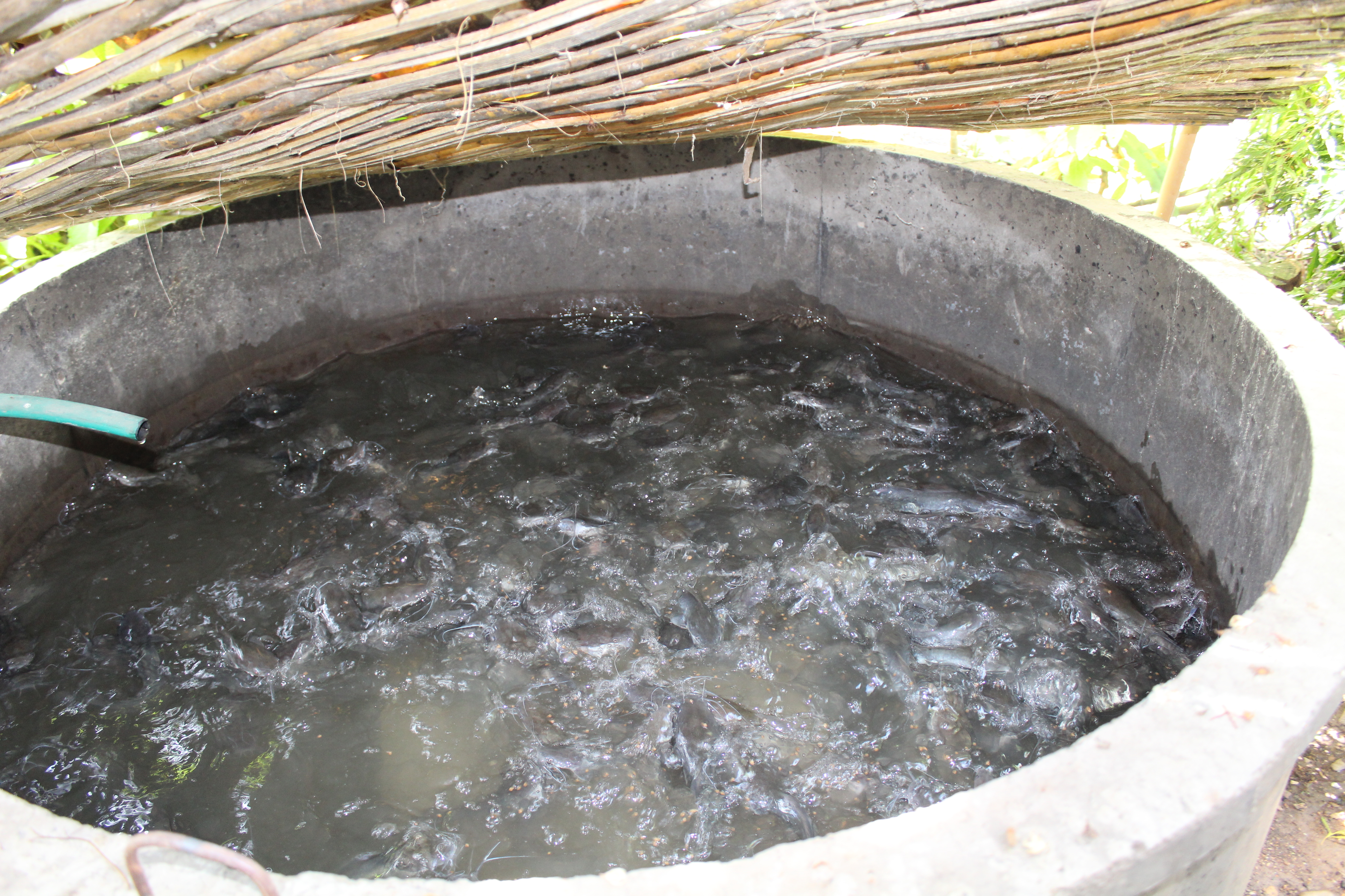 ติดตามการดำเนินงานกิจกรรมตามยุทธศาสตร์กรมฯ และมาตรการปรับปรุงประสิทธิภาพในการปฏิบัติราชการประจำปีงบประมาณ พ.ศ. 2561