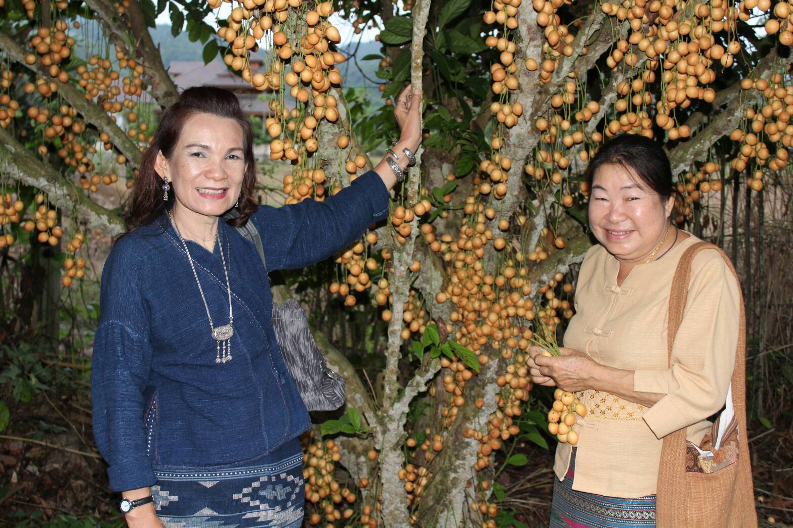 เตรียมความพร้อมโครงการ Cultural Touristm Tailue Village “หมู่บ้านท่องเที่ยวเชิงวัฒนธรรมไทลื้อ”