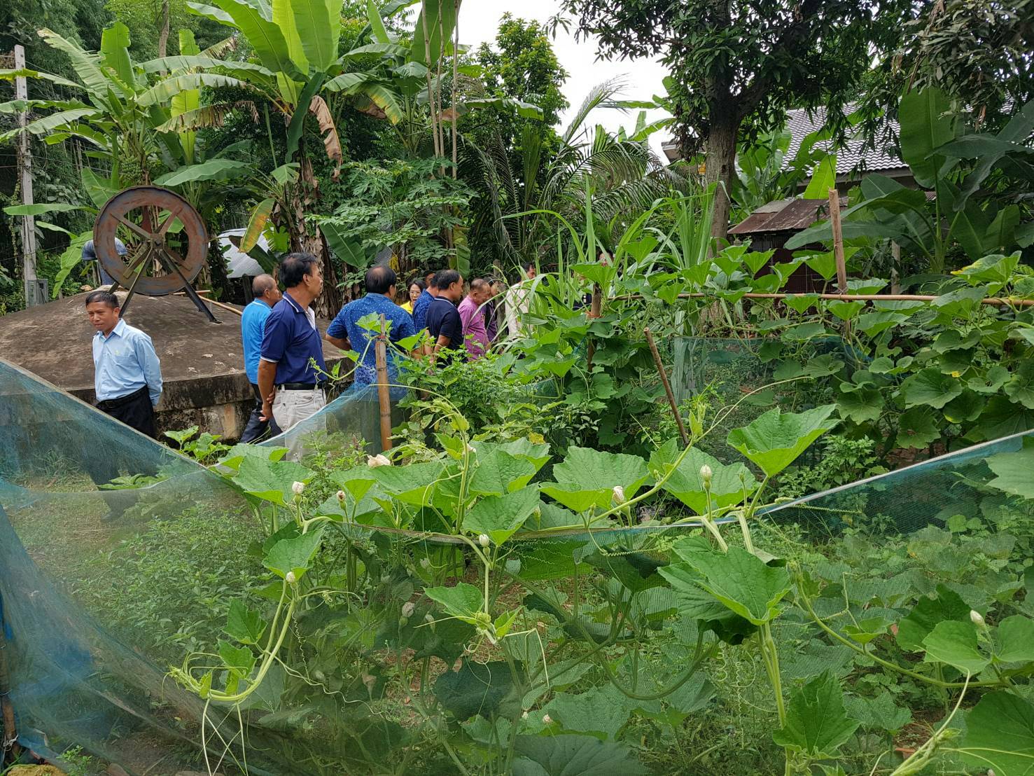 คัดเลือกครัวเรือนสัมมาชีพตัวอย่าง  ปี 2561