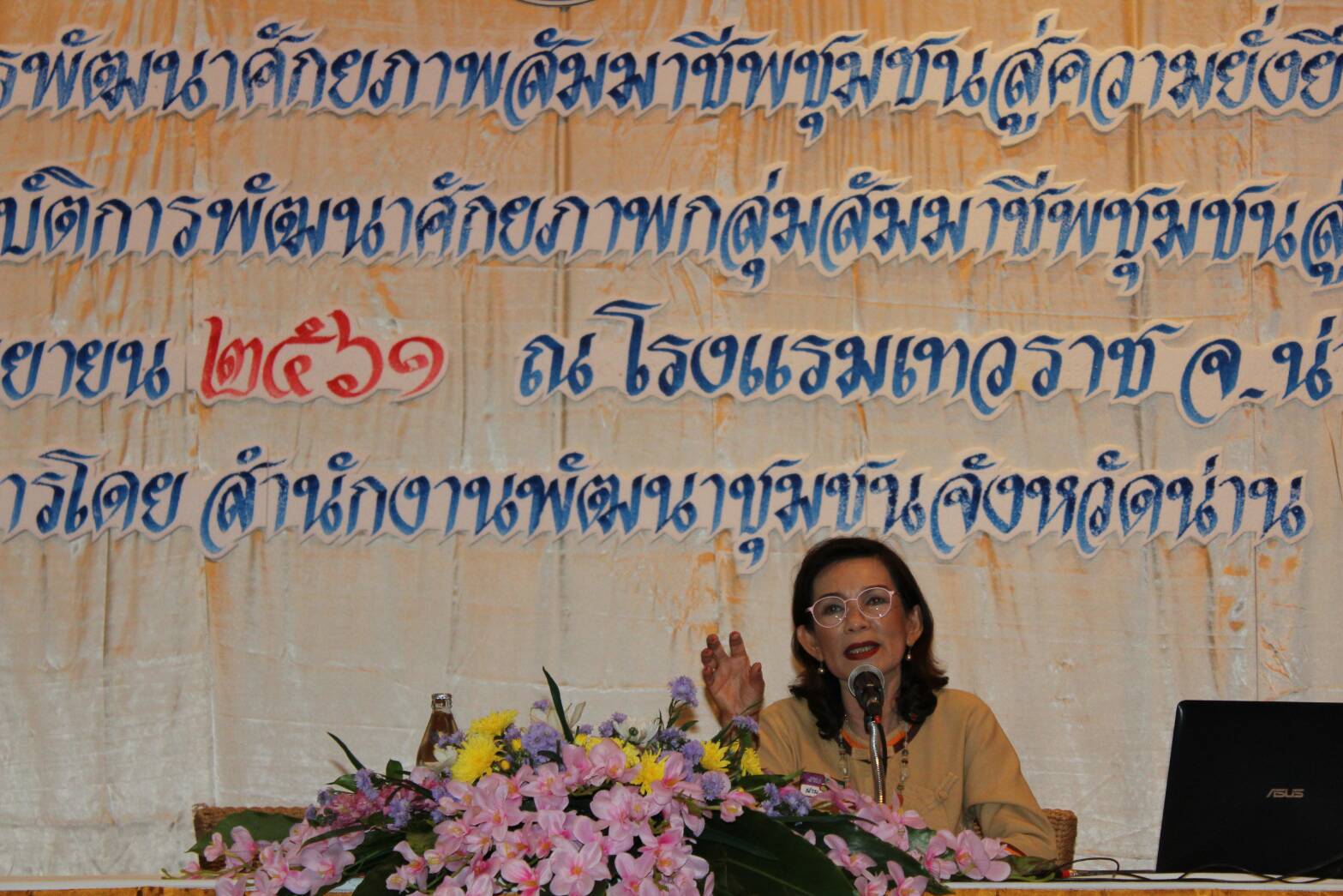 โครงการพัฒนาศักยภาพกลุ่มสัมมาชีพชุมชนสู่ความยั่งยืน  จังหวัดน่าน