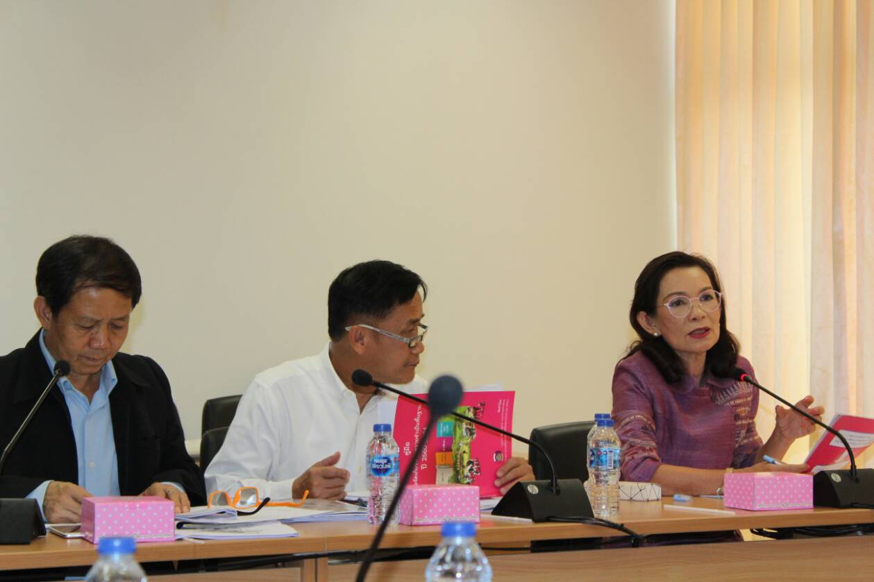 @น่าน : ประชุมคณะทำงานบริหารการจัดเก็บข้อมูลเพื่อการพัฒนาชุมชน ระดับจังหวัด ประจำปี 2562 ครั้งที่ 1/2562