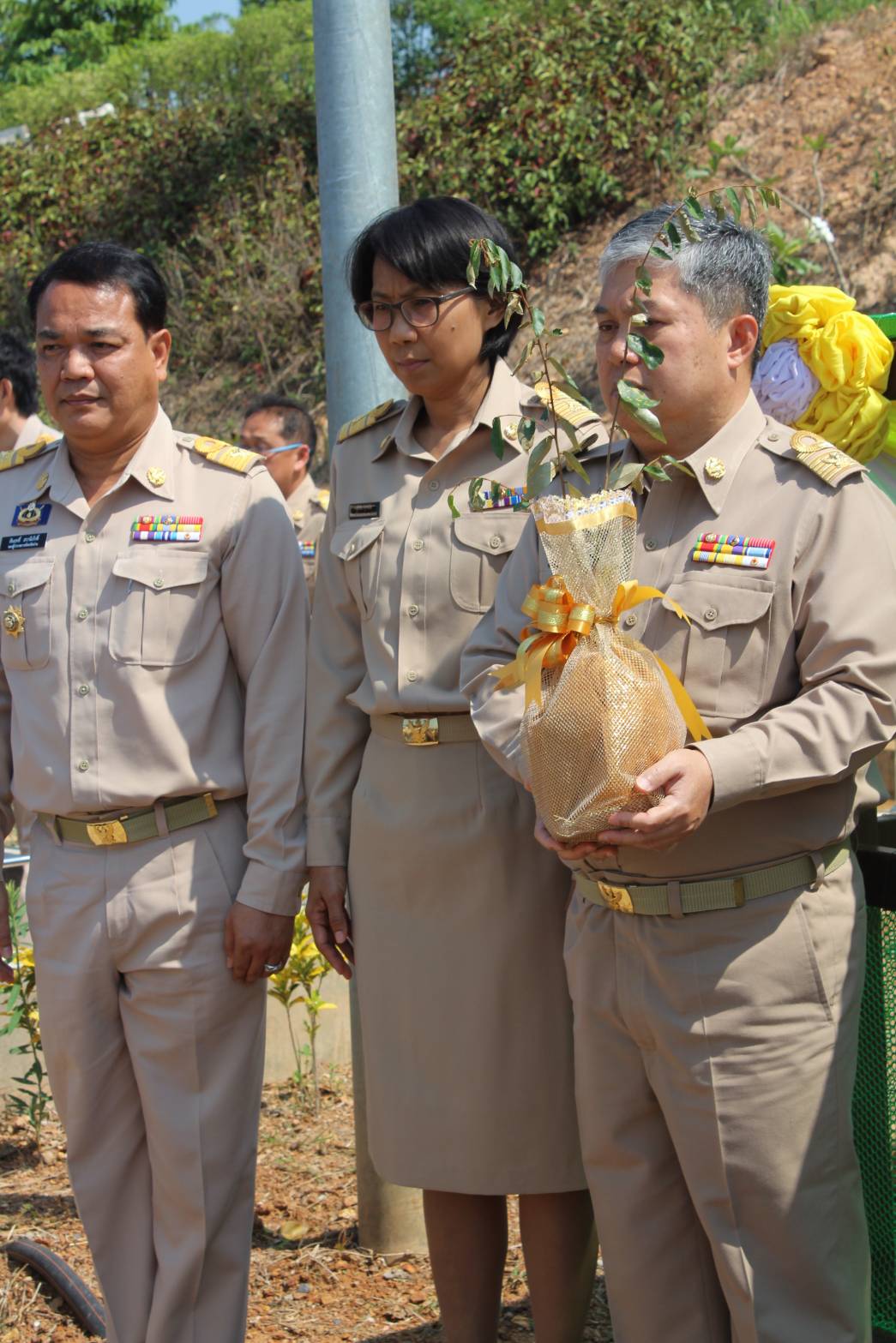 @น่าน : ร่วมพิธีปลูกต้นไม้มงคลต้นรวงผึ้งพระราชทาน เพื่อเฉลิมพระเกียรติเนื่องในโอกาสมหามงคลพระราชพิธีบรมราชาภิเษก