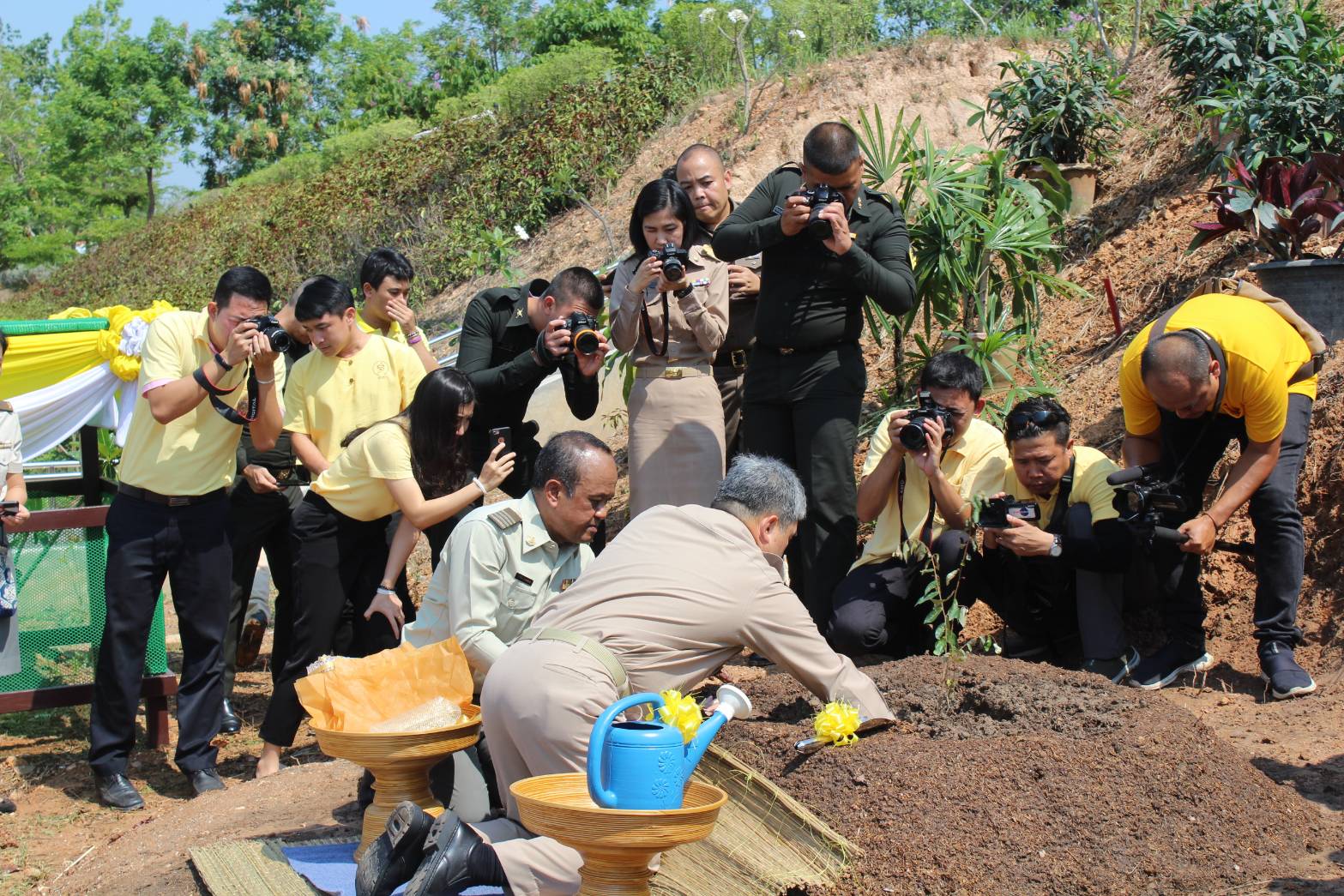 @น่าน : ร่วมพิธีปลูกต้นไม้มงคลต้นรวงผึ้งพระราชทาน เพื่อเฉลิมพระเกียรติเนื่องในโอกาสมหามงคลพระราชพิธีบรมราชาภิเษก