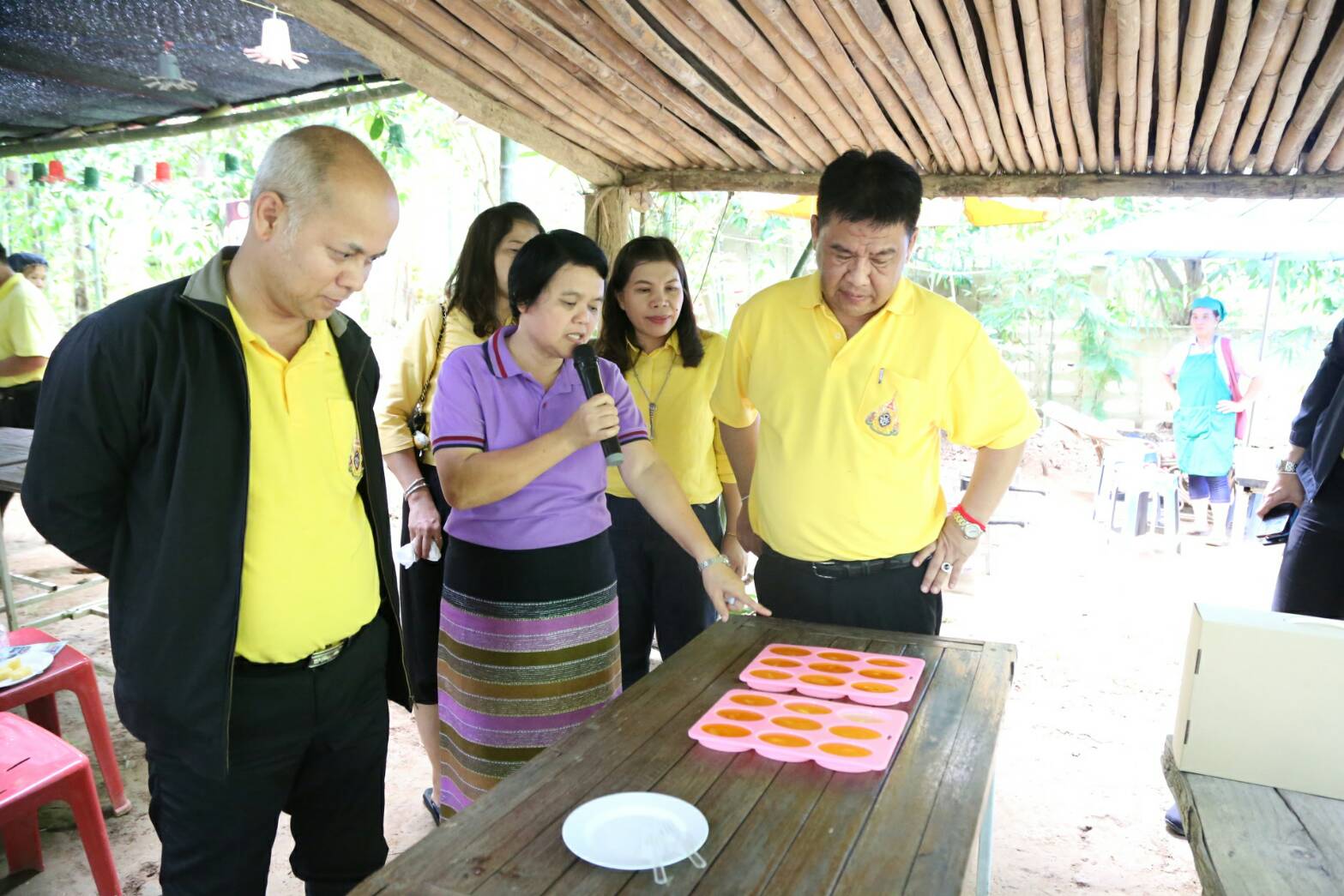 @น่าน : นายสมหวัง พ่วงบางโพ รองอธิบดีกรมการพัฒนาชุมชน และคณะ ติดตามการดำเนินงานตามยุทธศาสตร์กรมการพัฒนาชุมชน (วันที่ 1)