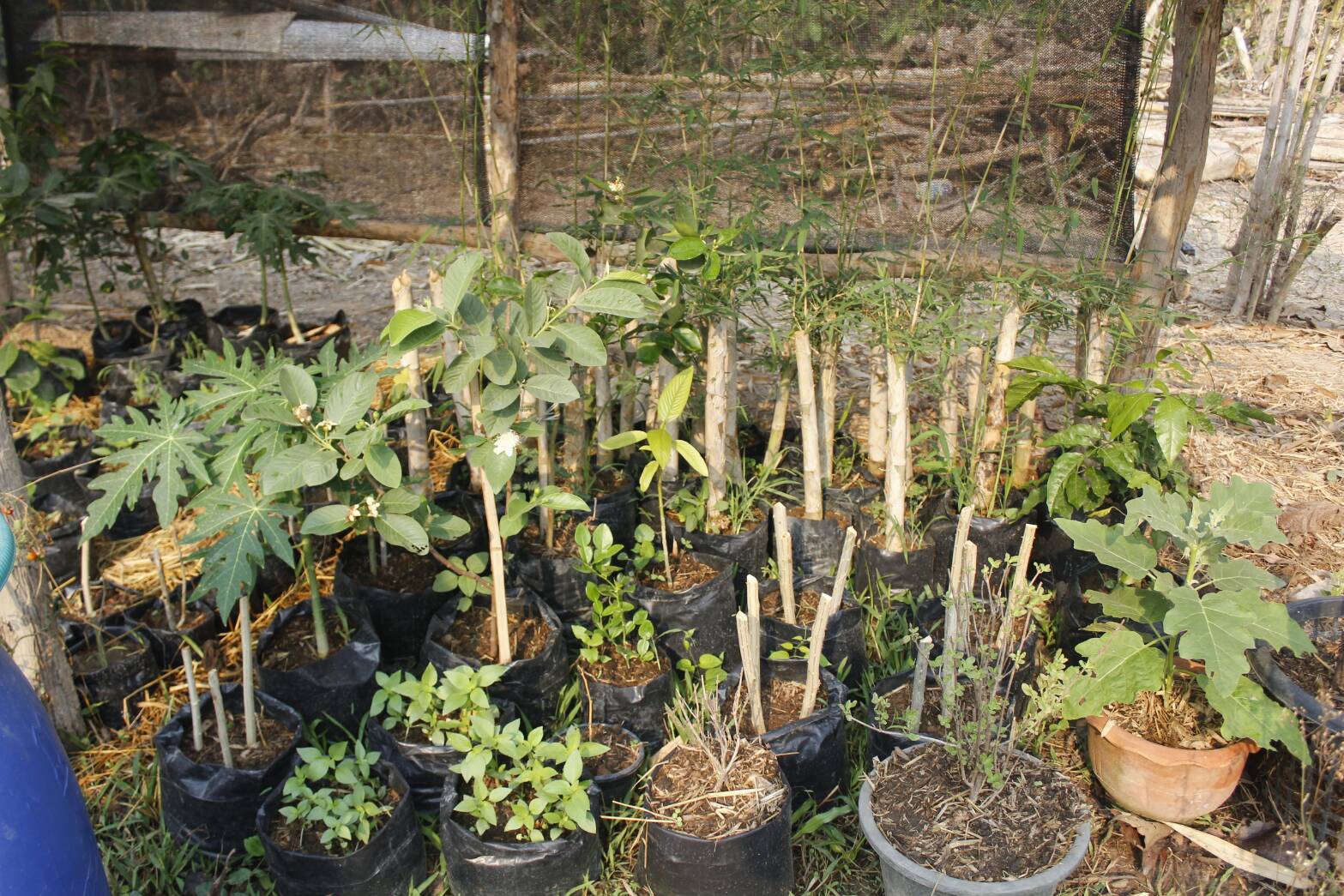 @น่าน : นายไพบูลย์ บูรณสันติ ผู้ตรวจราชการกรมฯ ติดตามการดำเนินงานตามนโยบายกระทรวงมหาดไทยและข้อสั่งการของอธิบดีกรมการพัฒนาชุมชน (วันที่ 2)