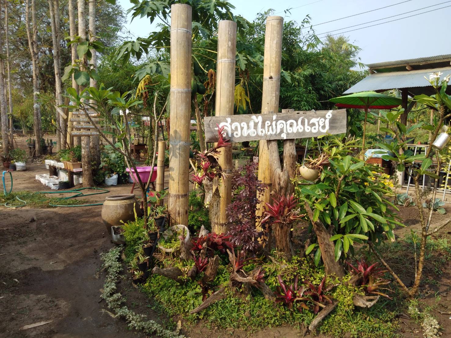 @น่าน : ขับเคลื่อนนโยบาย” Quick Win” 90 วัน ปลูกผักสวนครัว เพื่อความมั่นคงทางอาหาร”