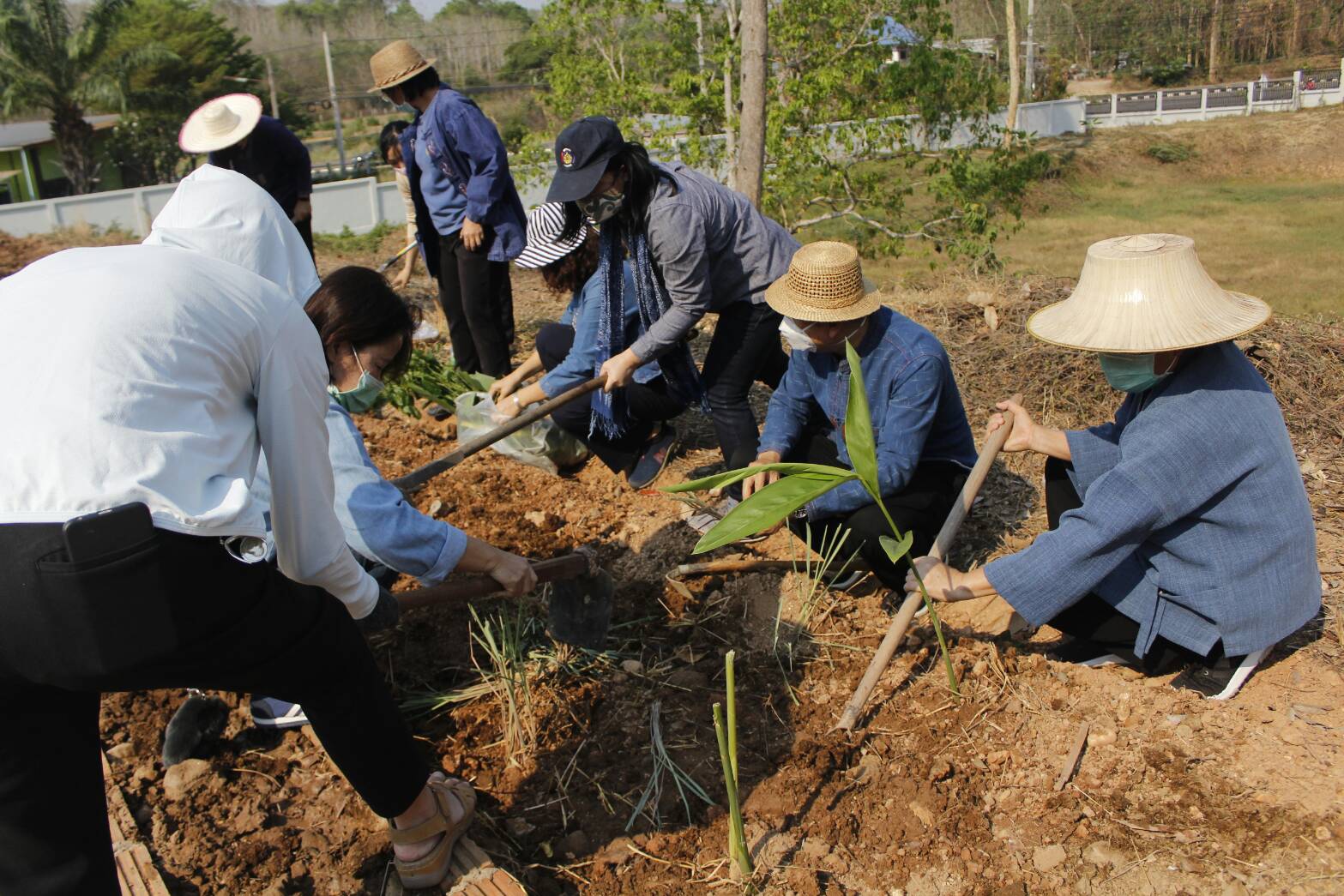 @น่าน : “พช.น่าน kick off ปลุกกระแส พลิกวิกฤติ covid -19”
