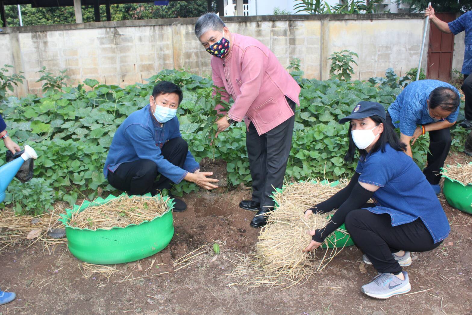 ??” จ.น่าน รณรงค์ปลูกผักสวนครัว เพื่อความมั่นคงทางอาหาร ช่วงวิกฤติ covid -19 “??