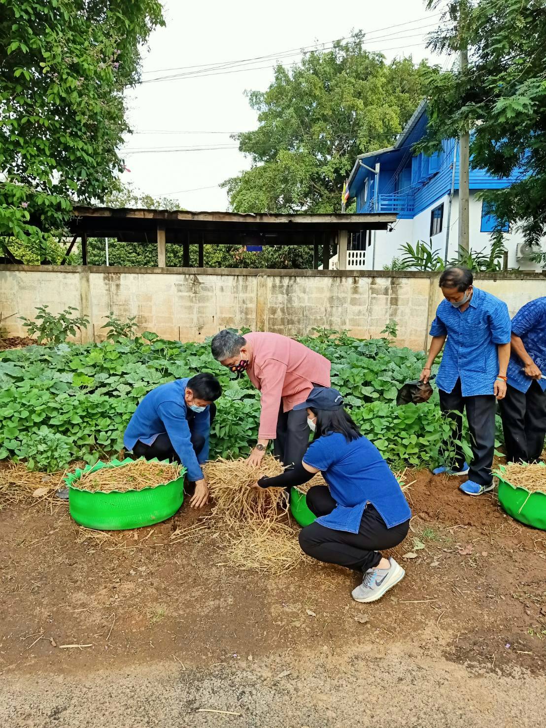 ??” จ.น่าน รณรงค์ปลูกผักสวนครัว เพื่อความมั่นคงทางอาหาร ช่วงวิกฤติ covid -19 “??