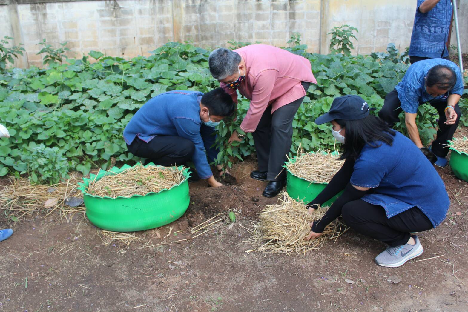 ??” จ.น่าน รณรงค์ปลูกผักสวนครัว เพื่อความมั่นคงทางอาหาร ช่วงวิกฤติ covid -19 “??