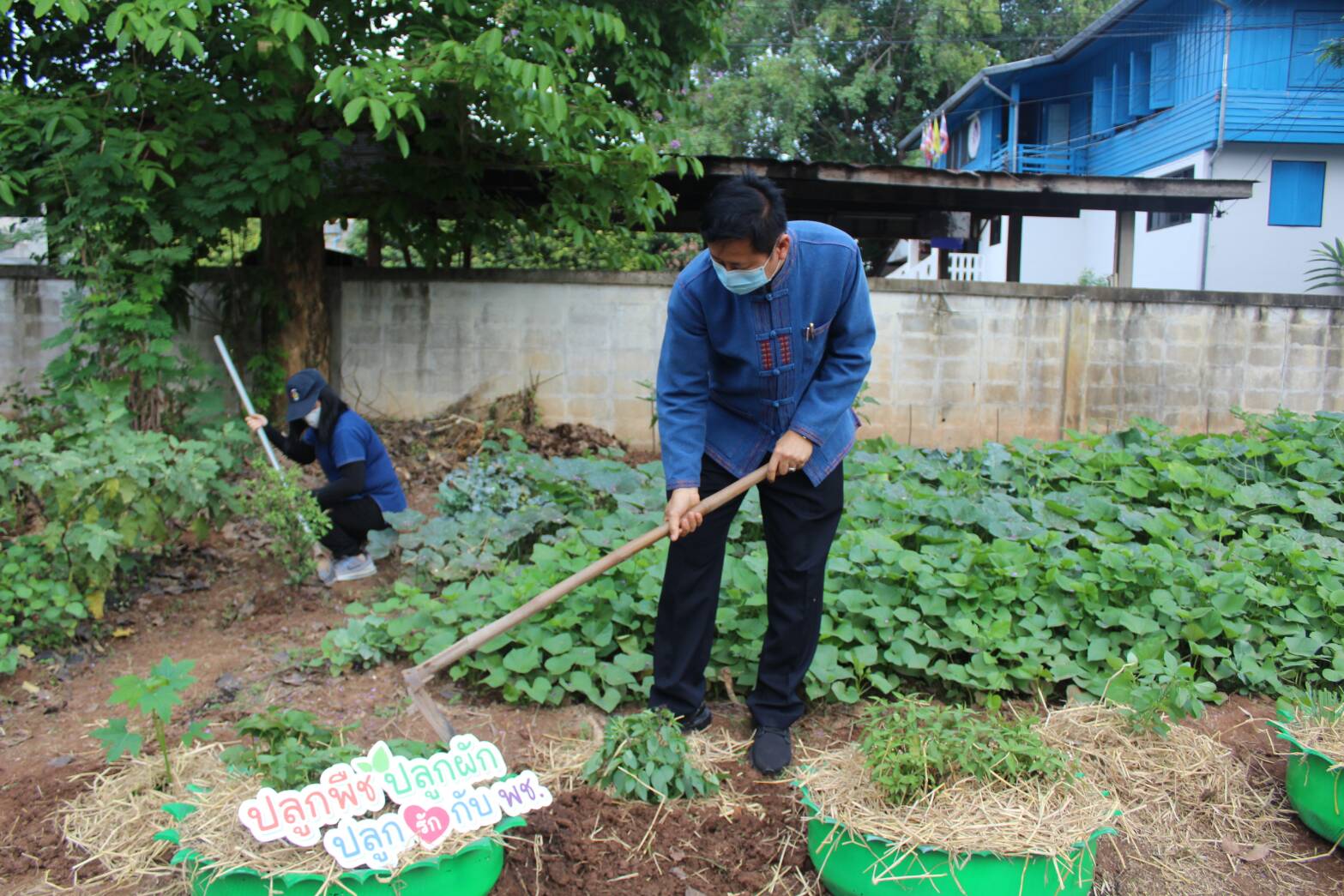 ??” จ.น่าน รณรงค์ปลูกผักสวนครัว เพื่อความมั่นคงทางอาหาร ช่วงวิกฤติ covid -19 “??