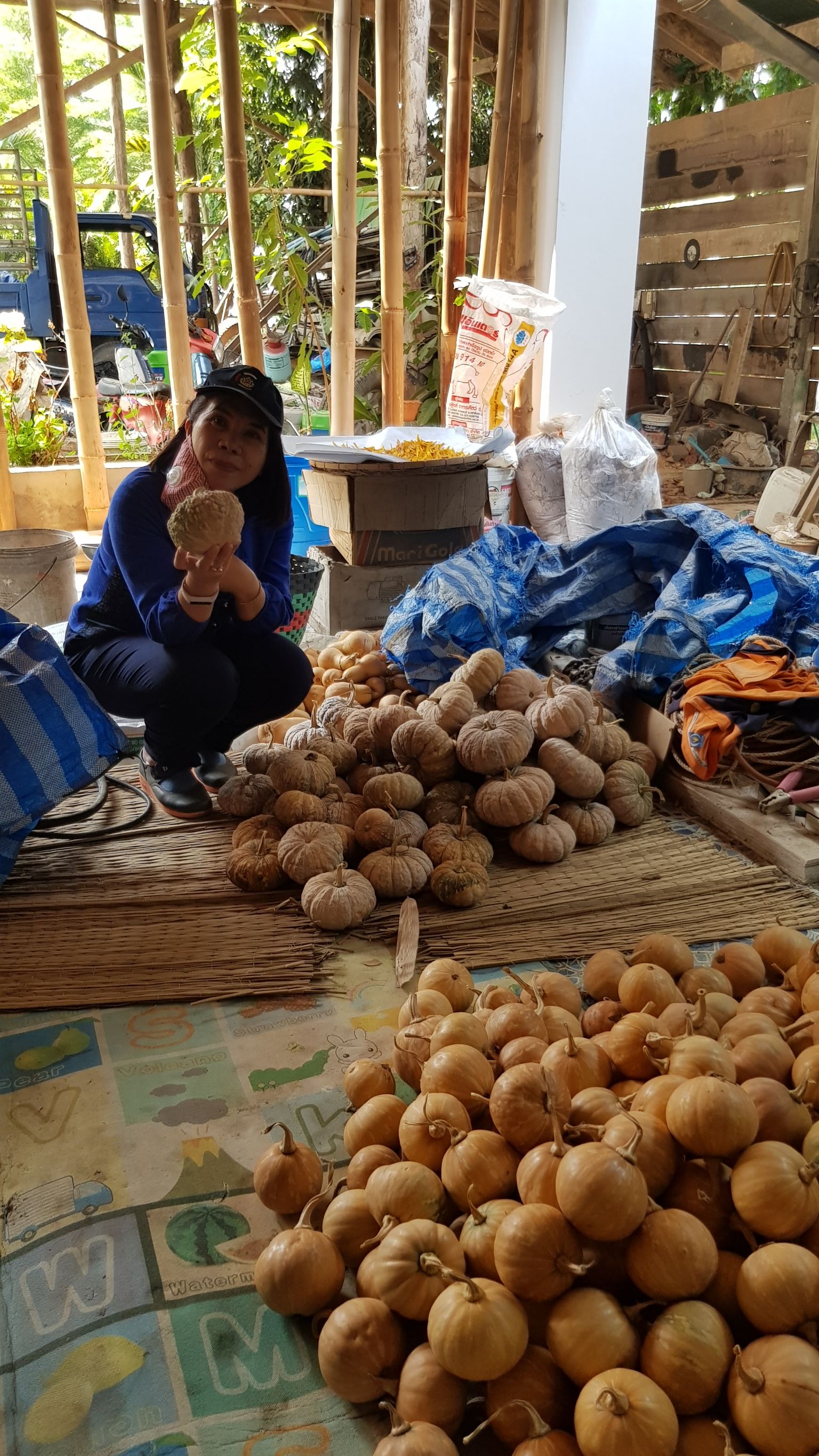 @น่าน : ติดตาม สนับสนุน สมาชิกกองทุนพัฒนาบทบาทสตรีที่กู้ยืมเงินทุนหมุนเวียนไปประกอบอาชีพ
