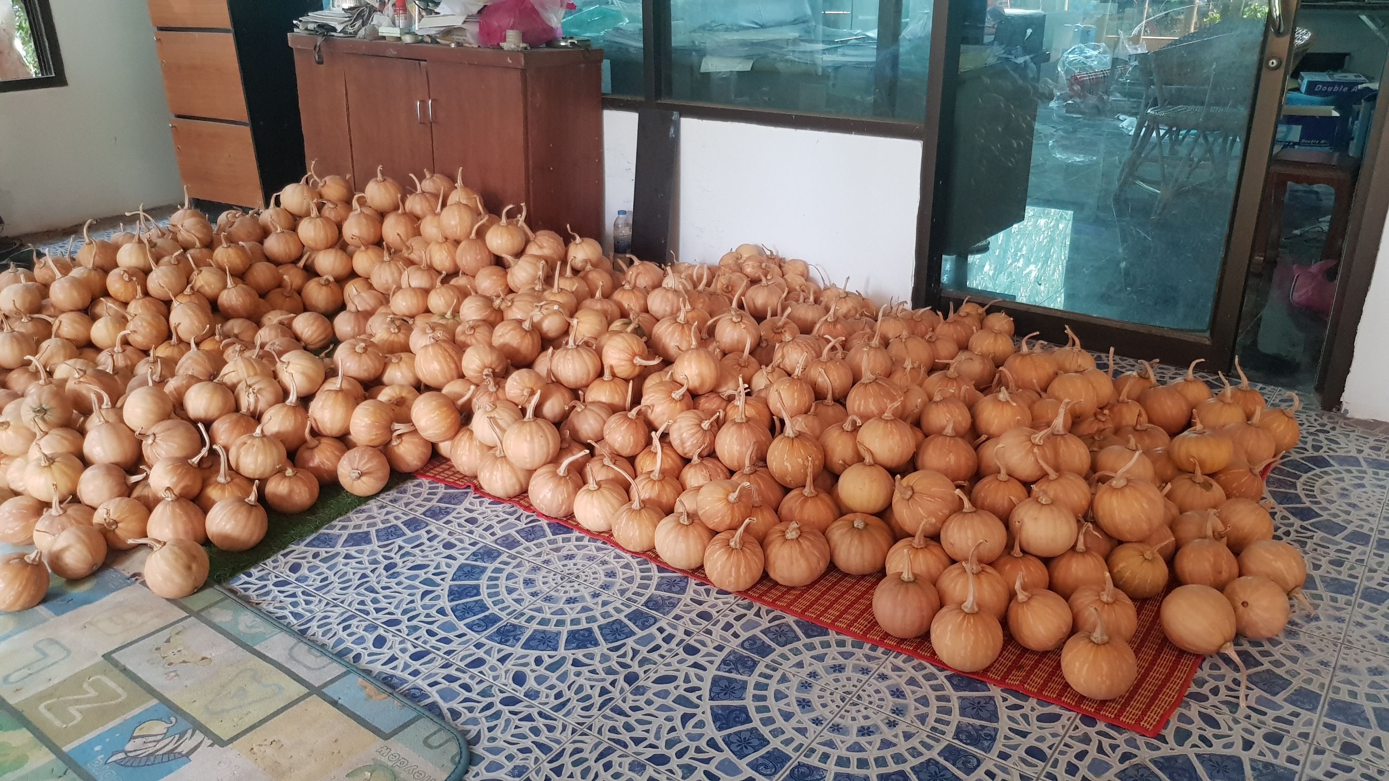 @น่าน : ติดตาม สนับสนุน สมาชิกกองทุนพัฒนาบทบาทสตรีที่กู้ยืมเงินทุนหมุนเวียนไปประกอบอาชีพ