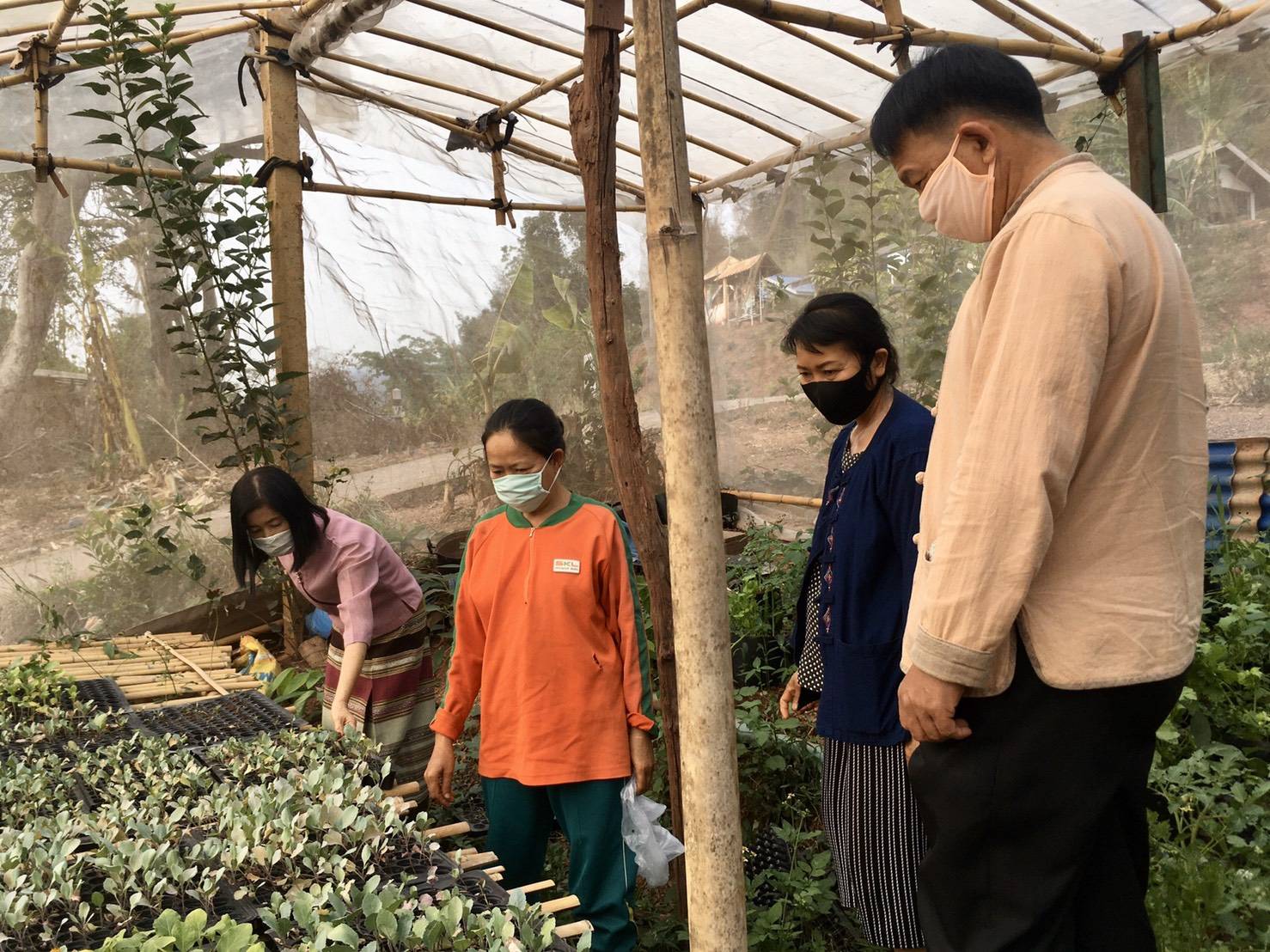 @น่าน : ขับเคลื่อนนโยบาย” Quick Win” 90 วัน ปลูกผักสวนครัว เพื่อความมั่นคงทางอาหาร”