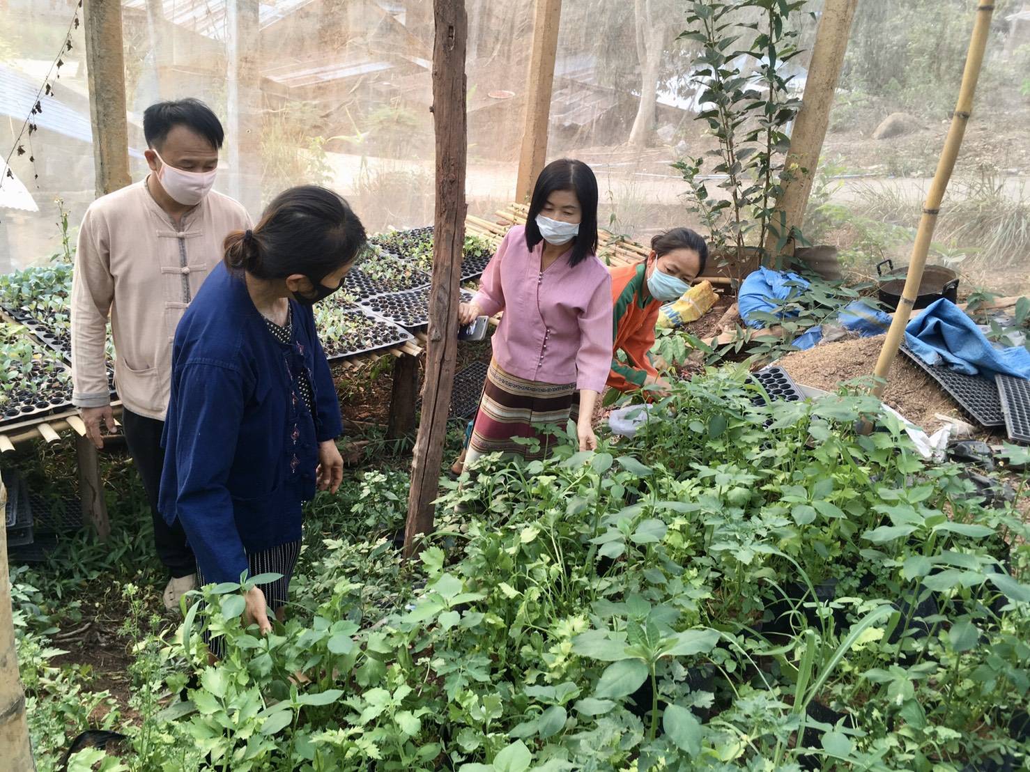 @น่าน : ขับเคลื่อนนโยบาย” Quick Win” 90 วัน ปลูกผักสวนครัว เพื่อความมั่นคงทางอาหาร”