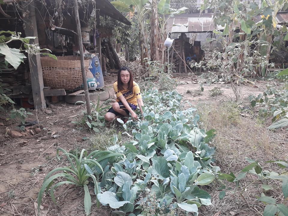 @น่าน : ขับเคลื่อนนโยบาย” Quick Win” 90 วัน ปลูกผักสวนครัว เพื่อความมั่นคงทางอาหาร”