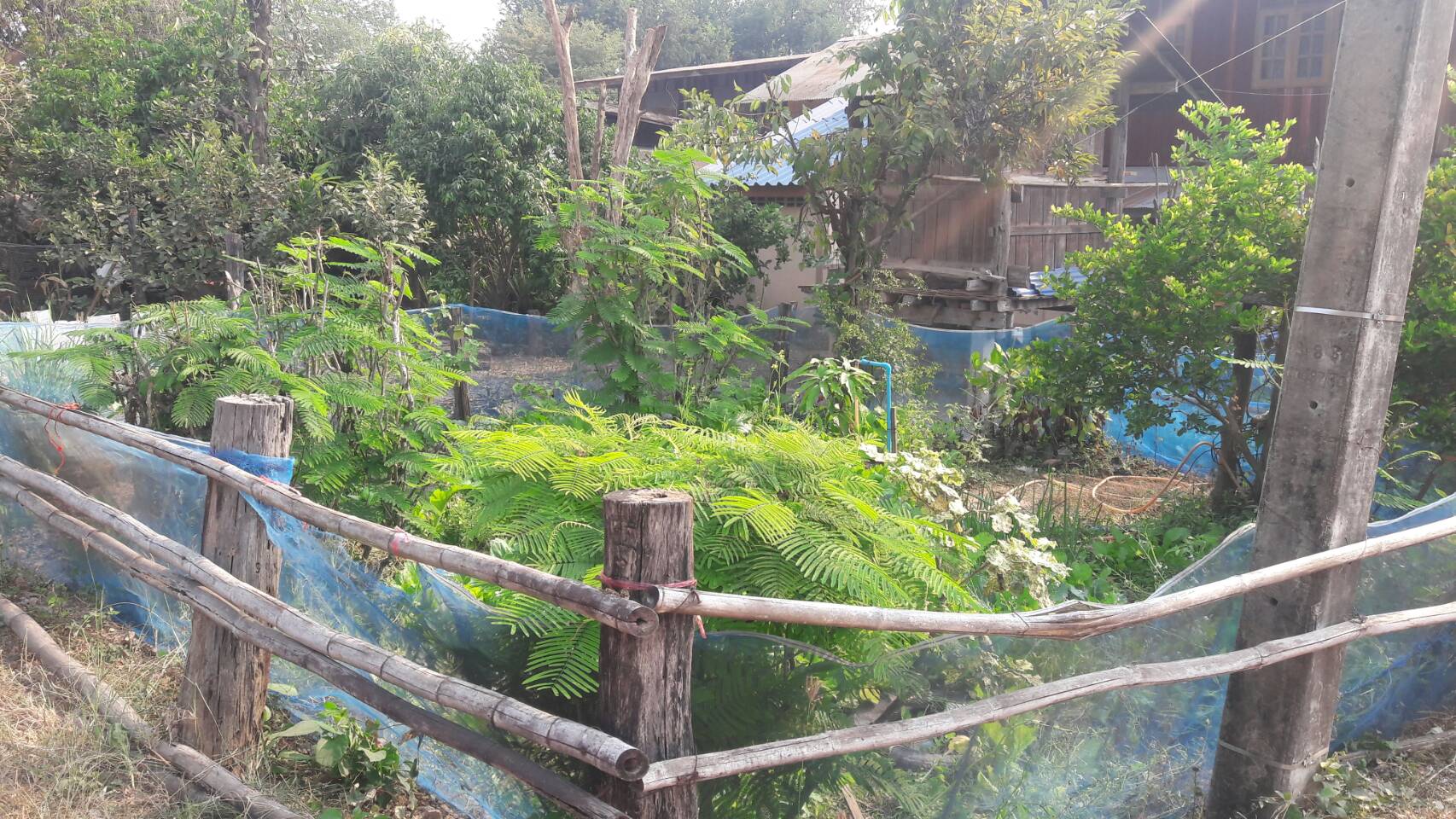 @น่าน : ขับเคลื่อนนโยบาย” Quick Win” 90 วัน ปลูกผักสวนครัว เพื่อความมั่นคงทางอาหาร”