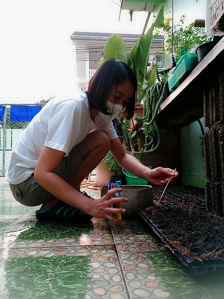 @น่าน : ขับเคลื่อนนโยบาย” Quick Win” 90 วัน ปลูกผักสวนครัว เพื่อความมั่นคงทางอาหาร”