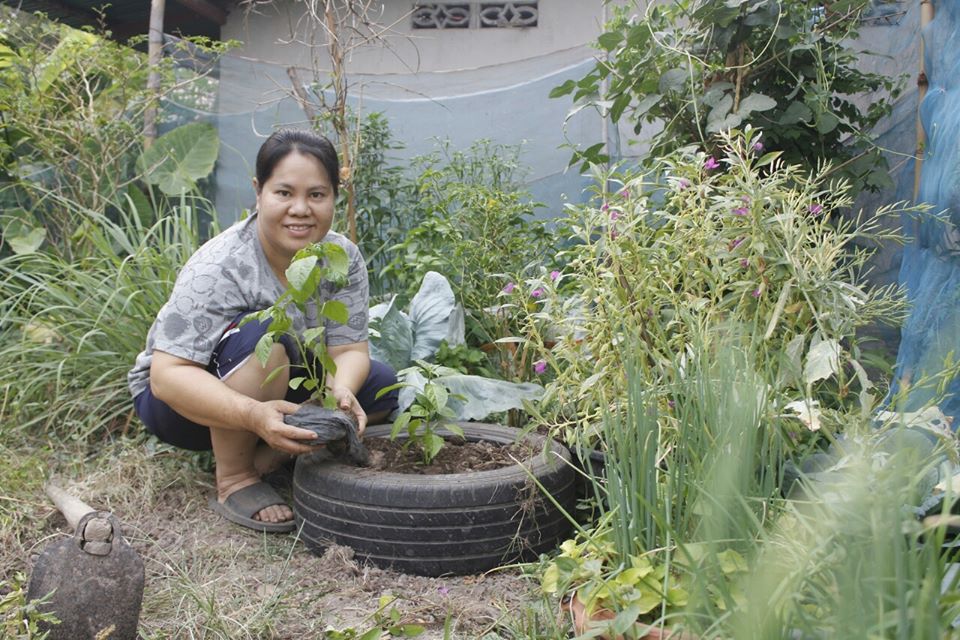 @น่าน : ขับเคลื่อนนโยบาย” Quick Win” 90 วัน ปลูกผักสวนครัว เพื่อความมั่นคงทางอาหาร”