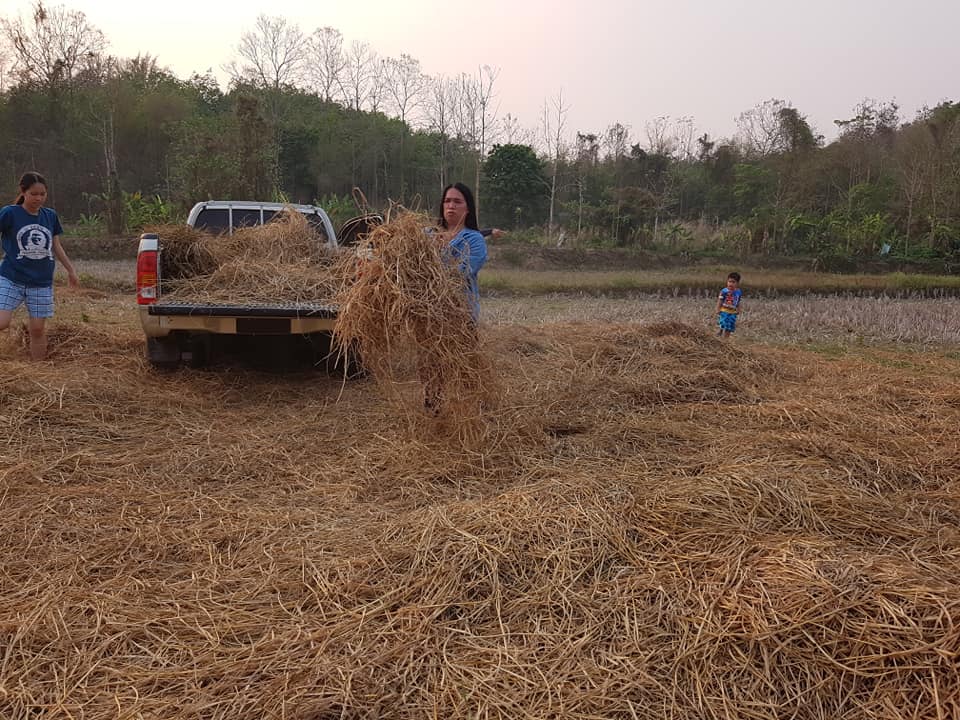 @น่าน : ขับเคลื่อนนโยบาย” Quick Win” 90 วัน ปลูกผักสวนครัว เพื่อความมั่นคงทางอาหาร”