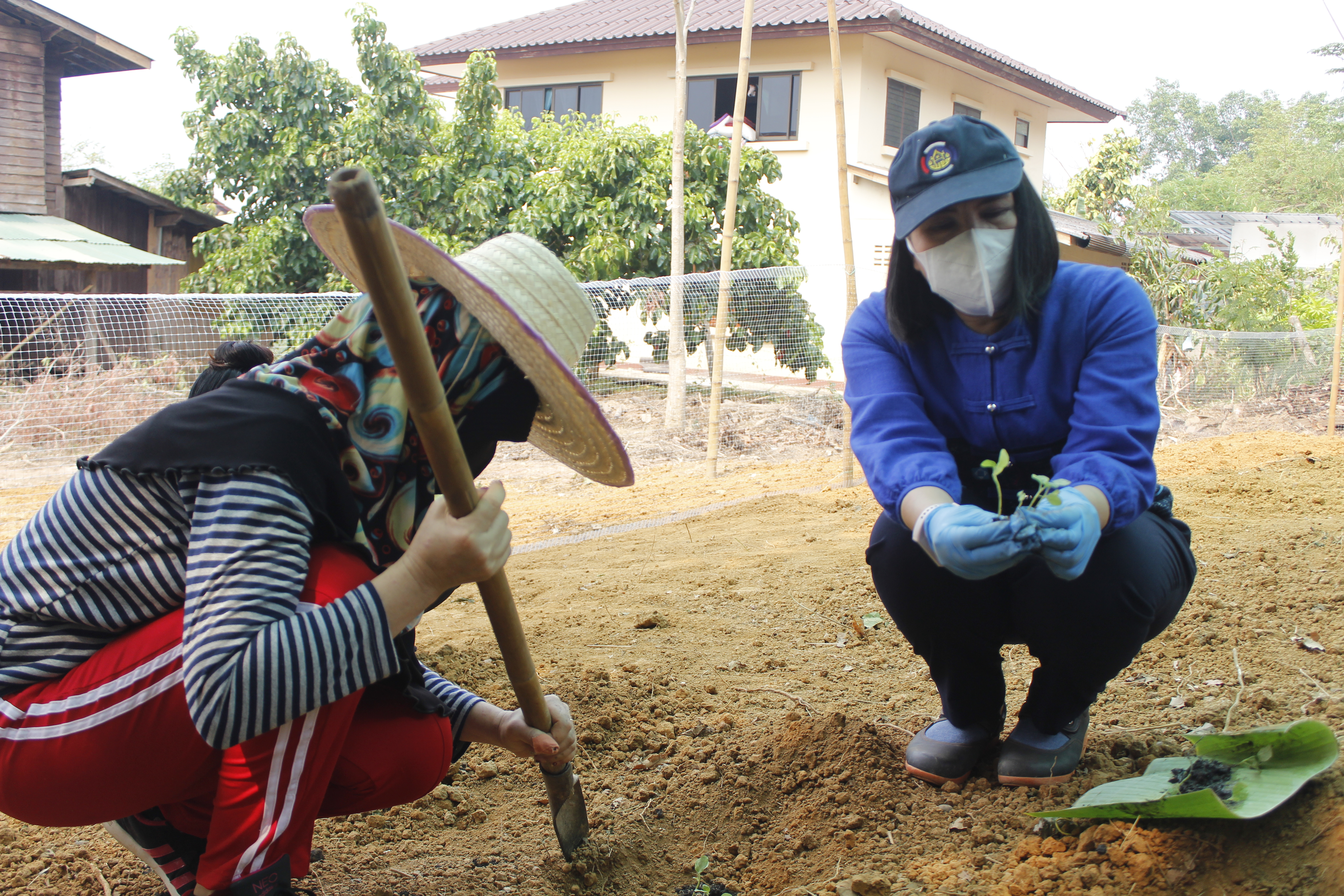 @น่าน : “สตรีน่านเดินหน้ารณรงค์โครงการสตรีแบ่งปันรัก ปลูกผักปลอดภัย”