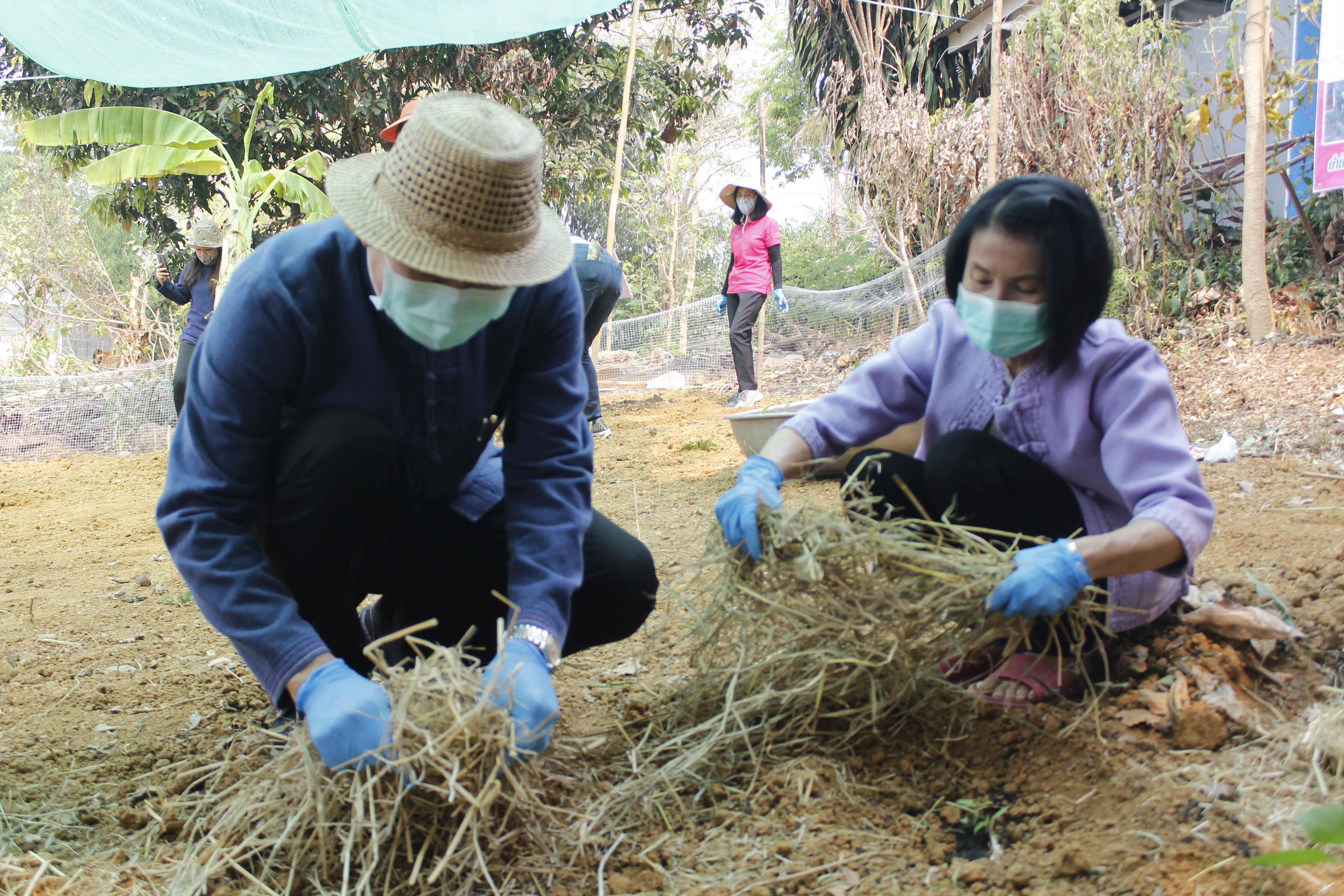 @น่าน : “สตรีน่านเดินหน้ารณรงค์โครงการสตรีแบ่งปันรัก ปลูกผักปลอดภัย”