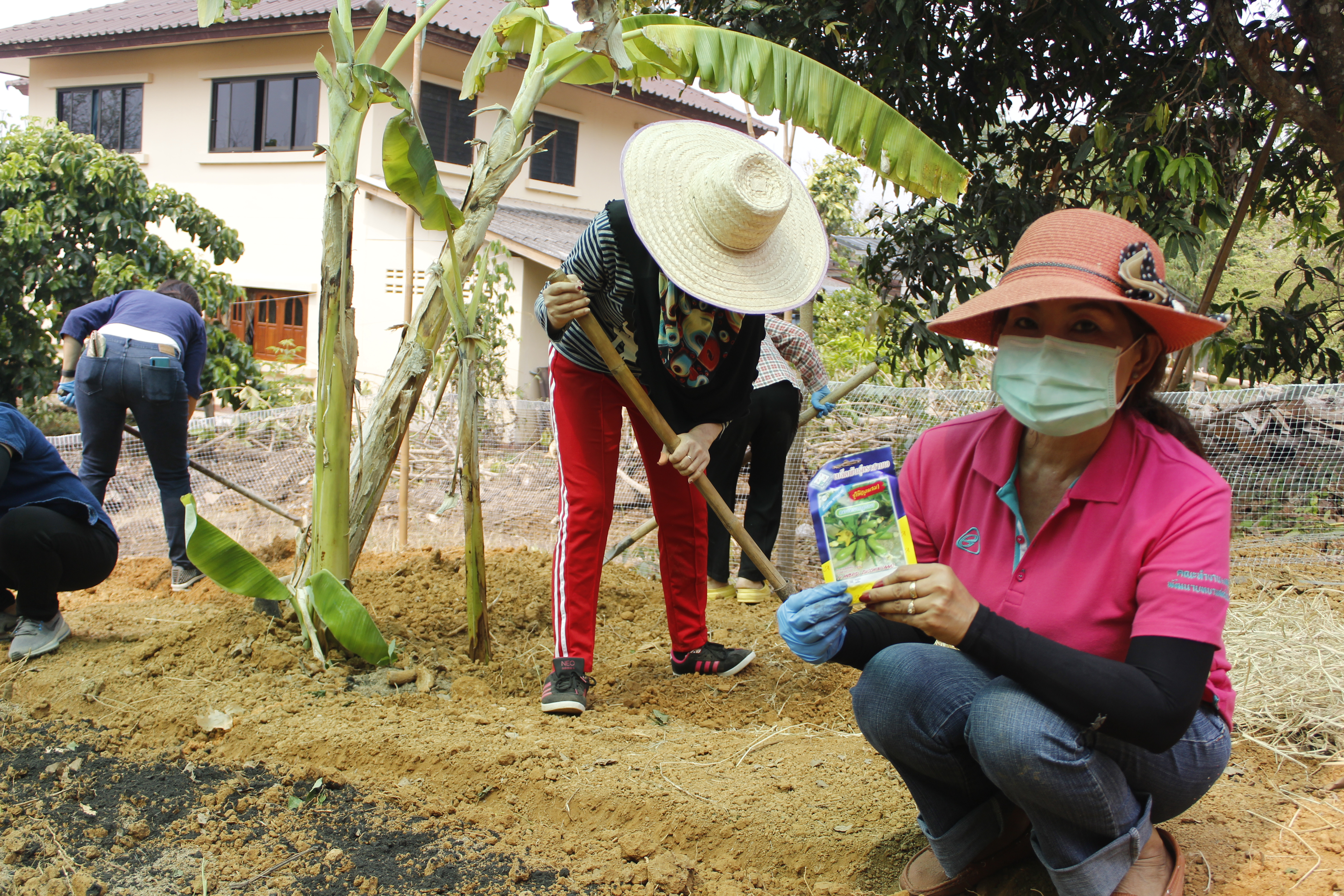 @น่าน : “สตรีน่านเดินหน้ารณรงค์โครงการสตรีแบ่งปันรัก ปลูกผักปลอดภัย”