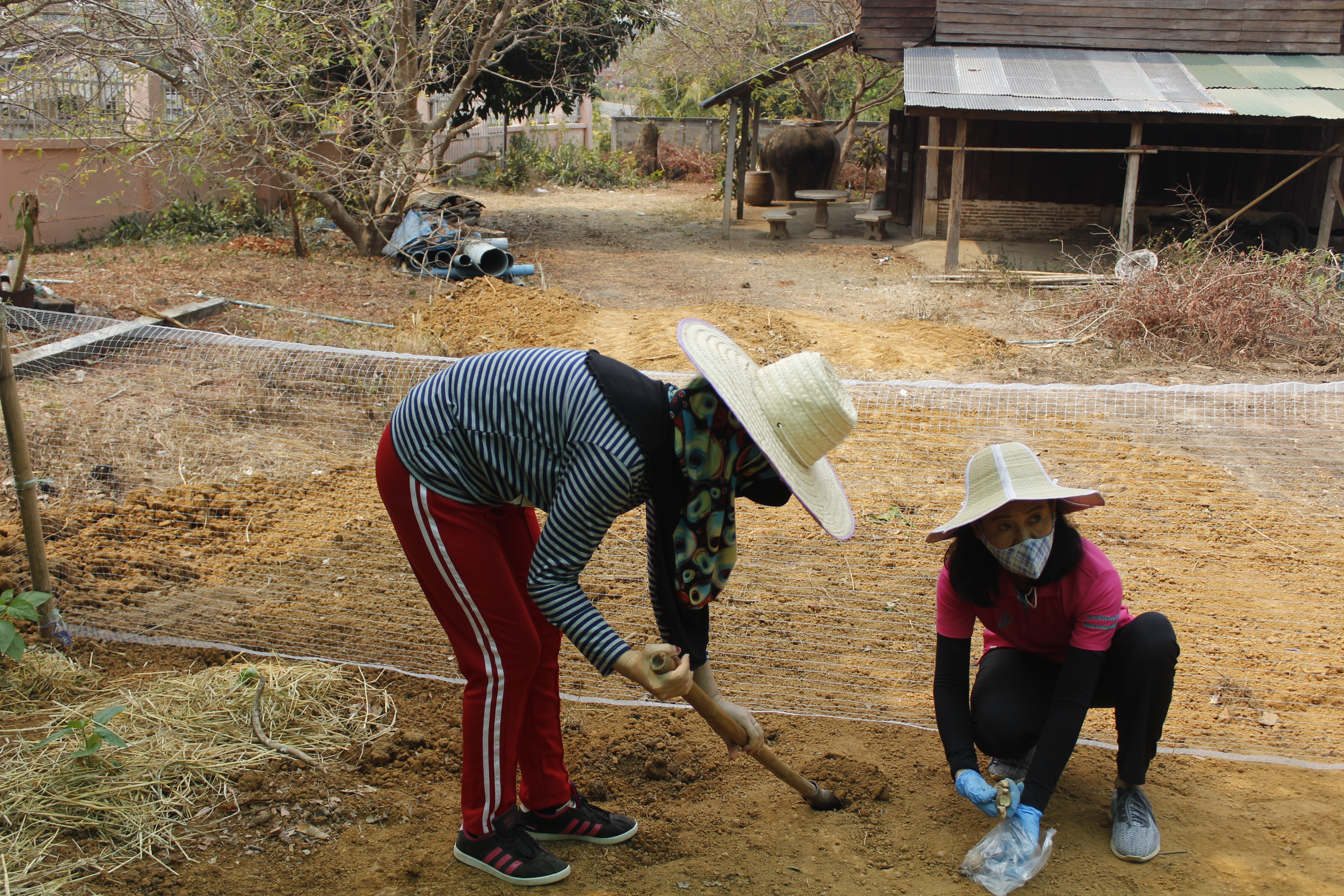@น่าน : “สตรีน่านเดินหน้ารณรงค์โครงการสตรีแบ่งปันรัก ปลูกผักปลอดภัย”