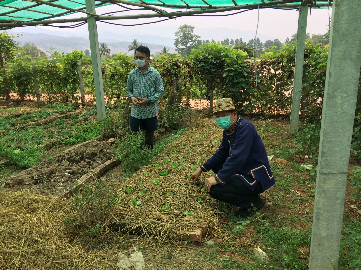 @น่าน : สพจ.น่าน ติดตามสนับสนุนการดำเนินงานเกษตรทฤษฏีใหม่ “โคก หนอง นา โมเดล”