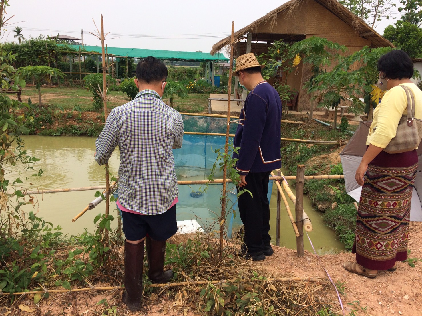 @น่าน : สพจ.น่าน ติดตามสนับสนุนการดำเนินงานเกษตรทฤษฏีใหม่ “โคก หนอง นา โมเดล”