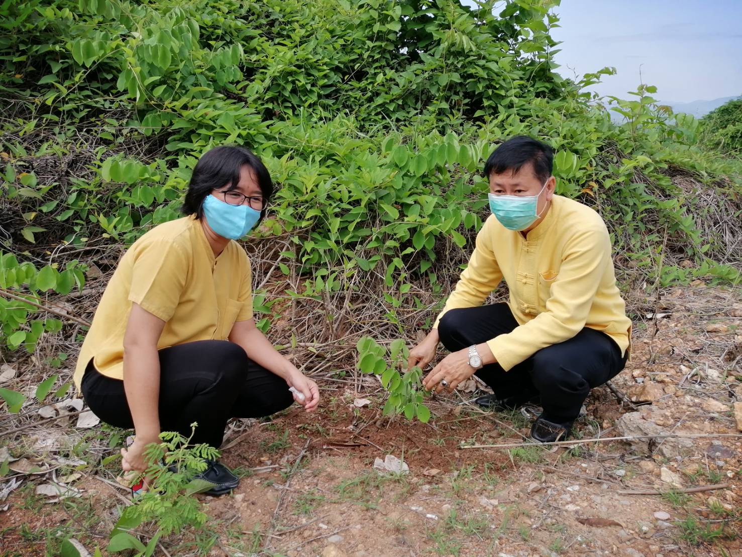 สพจ.น่าน ร่วมกิจกรรมวันต้นไม้ประจำปีของชาติ พ.ศ. 2563 ภายใต้ชื่อ “รวมใจไทย ปลูกต้นไม้ เพื่อแผ่นดิน” สืบสานสู่ 100 ล้านต้น