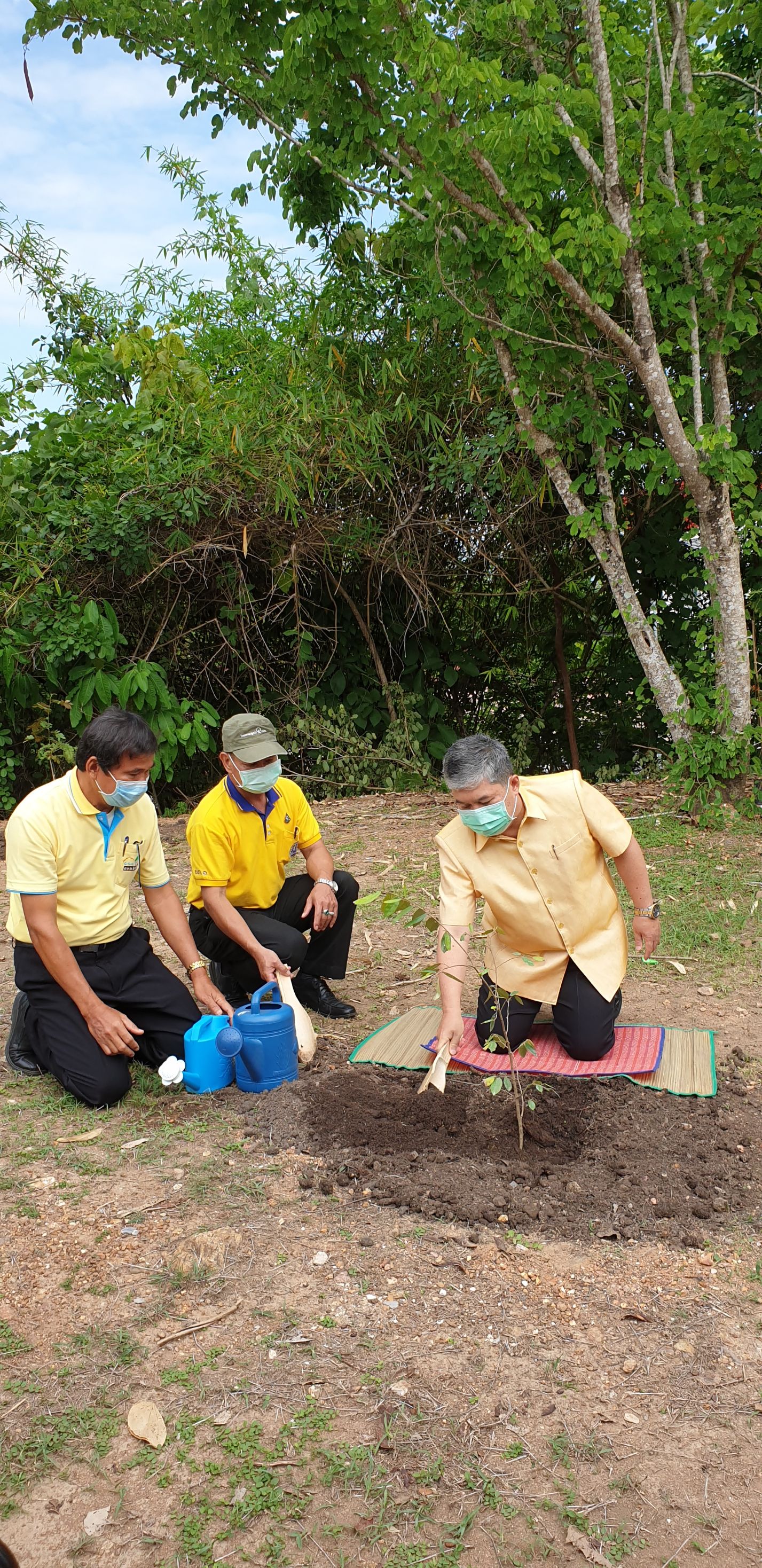 สพจ.น่าน ร่วมกิจกรรมวันต้นไม้ประจำปีของชาติ พ.ศ. 2563 ภายใต้ชื่อ “รวมใจไทย ปลูกต้นไม้ เพื่อแผ่นดิน” สืบสานสู่ 100 ล้านต้น