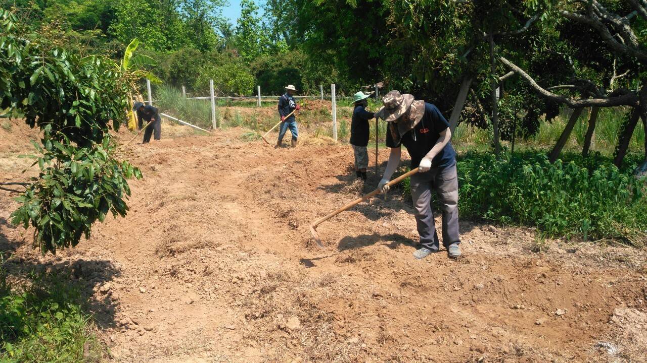 @น่าน : ปฏิบัติการเอามื้อสามัคคี ร่วมกับอาสาสมัครภาคประชาชน (Crisis Management and Survival Camps:CMS)