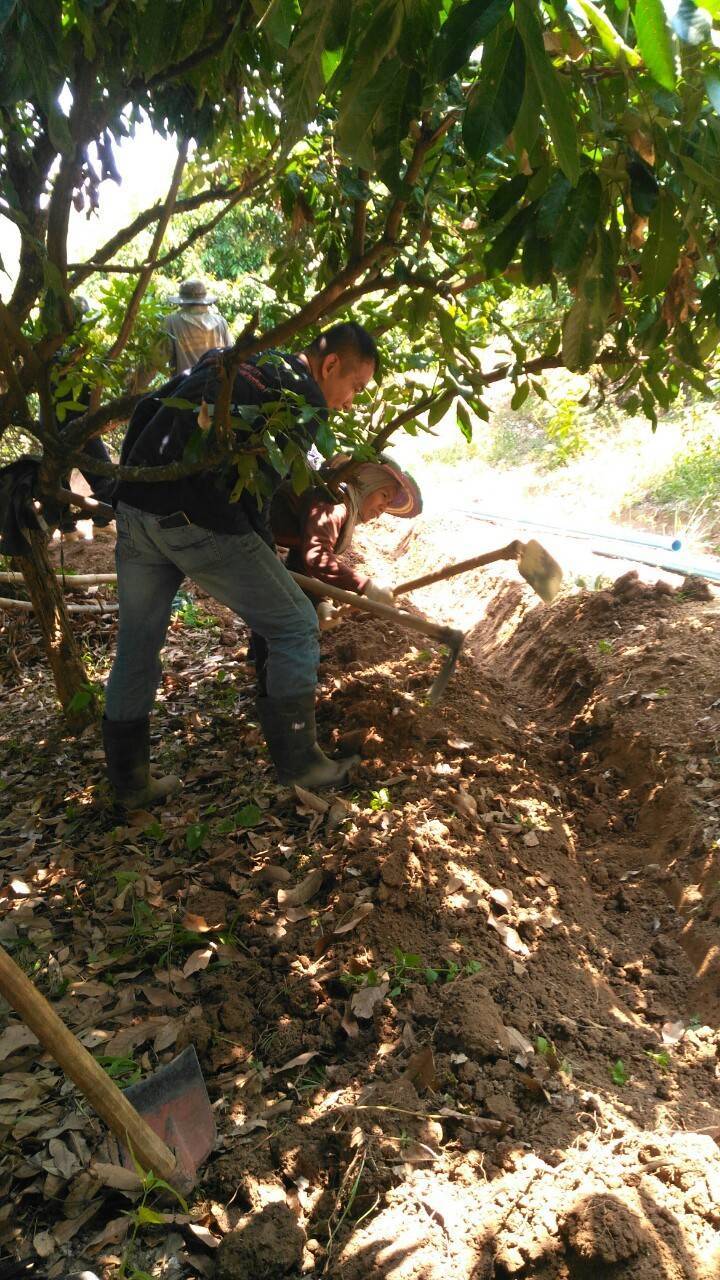 @น่าน : ปฏิบัติการเอามื้อสามัคคี ร่วมกับอาสาสมัครภาคประชาชน (Crisis Management and Survival Camps:CMS)