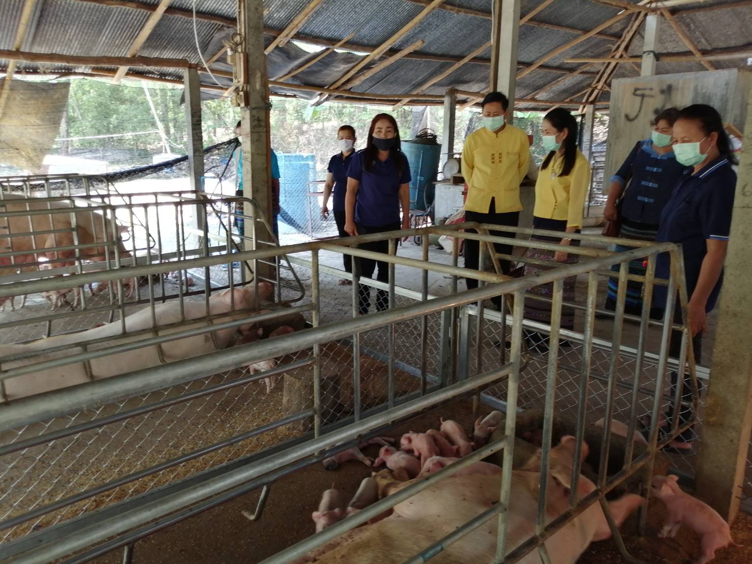 วิถีน่าน วิถีพอเพียง  ?? คัดเลือกคนกองทุนพัฒนาบทบาทสตรีดีเด่นระดับจังหวัด