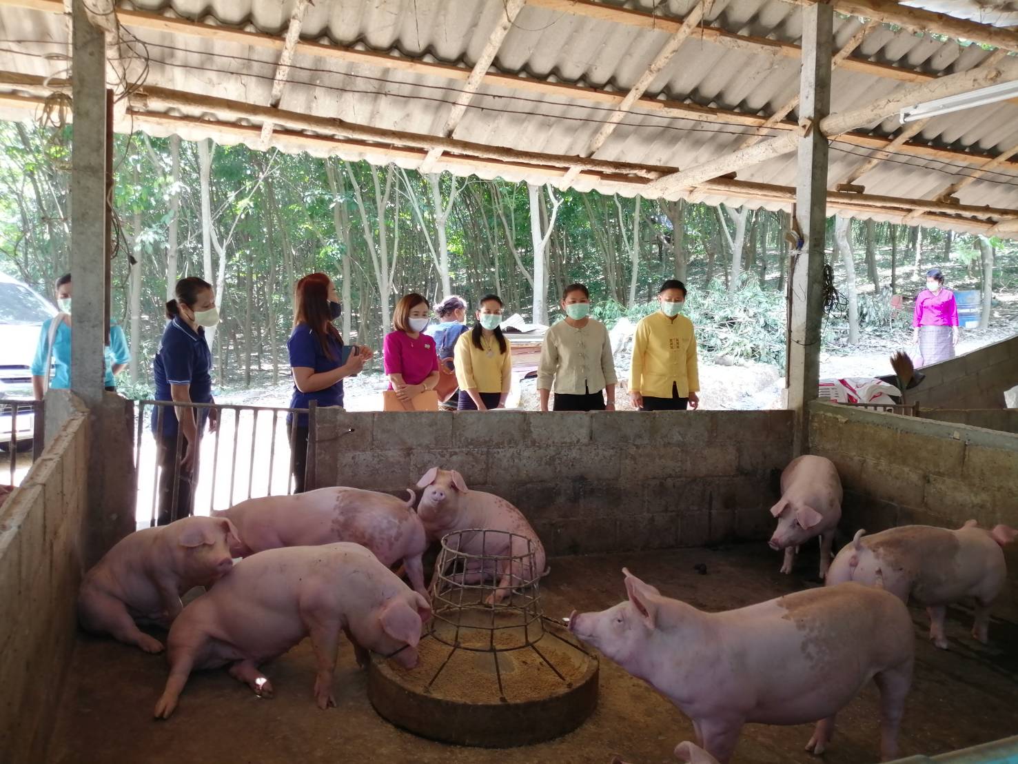 วิถีน่าน วิถีพอเพียง  ?? คัดเลือกคนกองทุนพัฒนาบทบาทสตรีดีเด่นระดับจังหวัด