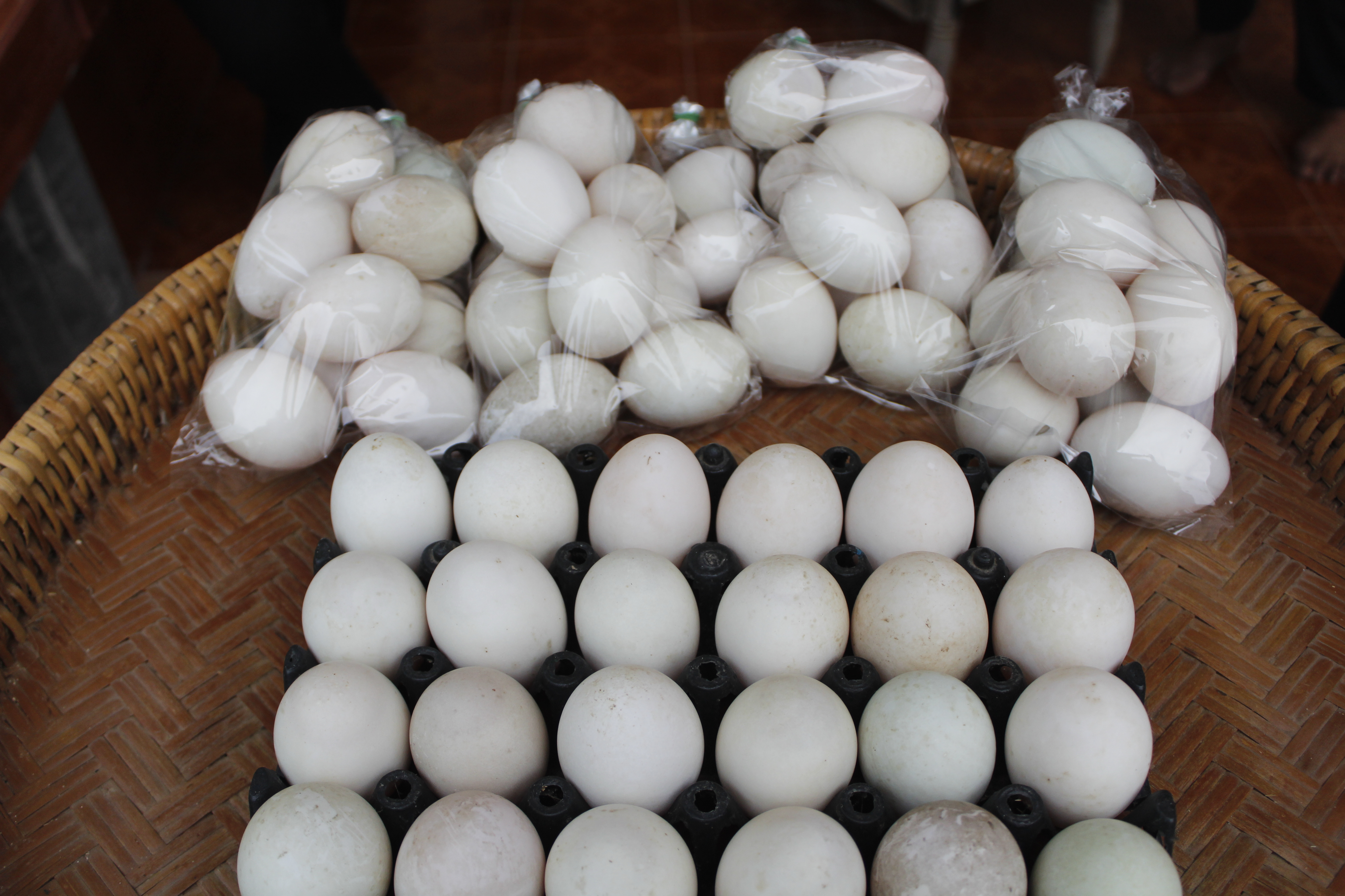 “กองทุนพัฒนาบทบาทสตรี กองทุนสร้างอาชีพ สร้างงาน สร้างรายได้และพัฒนาคุณภาพชีวิตของสตรี”