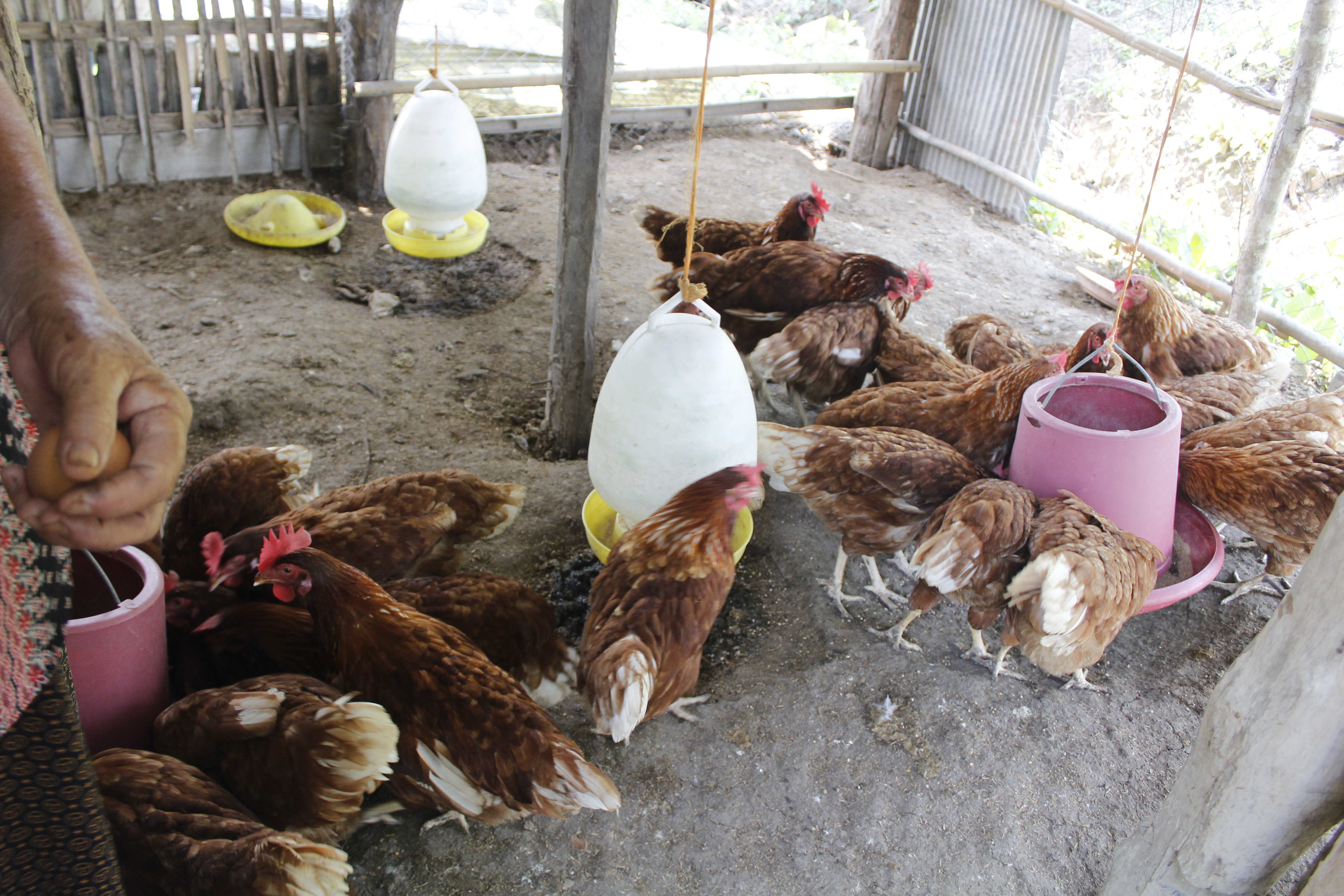 “กองทุนพัฒนาบทบาทสตรี กองทุนสร้างอาชีพ สร้างงาน สร้างรายได้และพัฒนาคุณภาพชีวิตของสตรี”