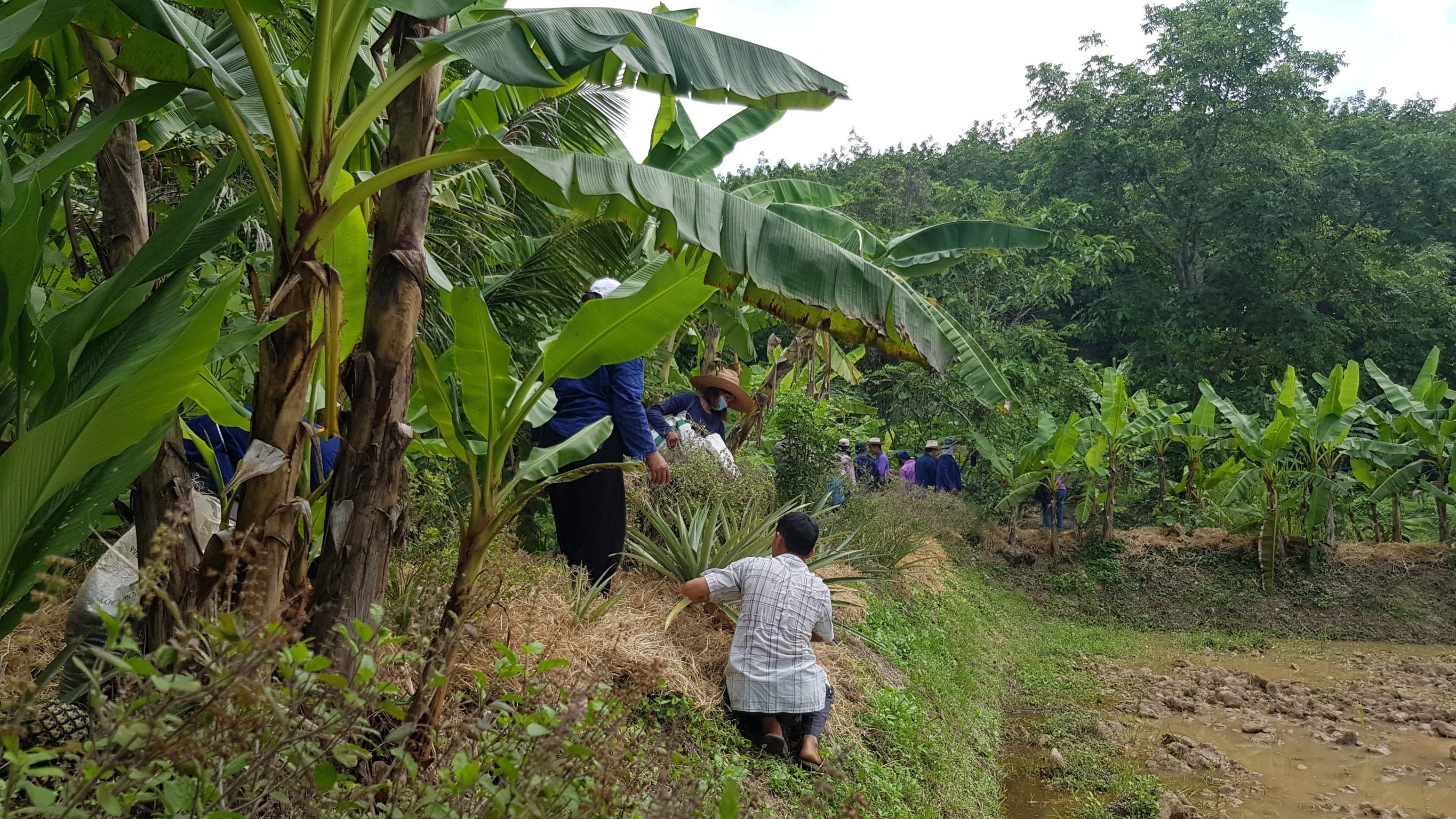 “พช.น่าน ส่งเสริมผู้นำต้นแบบการพัฒนาคุณภาพชีวิตฯ น้อมนำแนวทางเศรษฐกิจพอเพียงศาสตร์พระราชา ประยุกต์สู่ “โคก หนอง นา โมเดล”