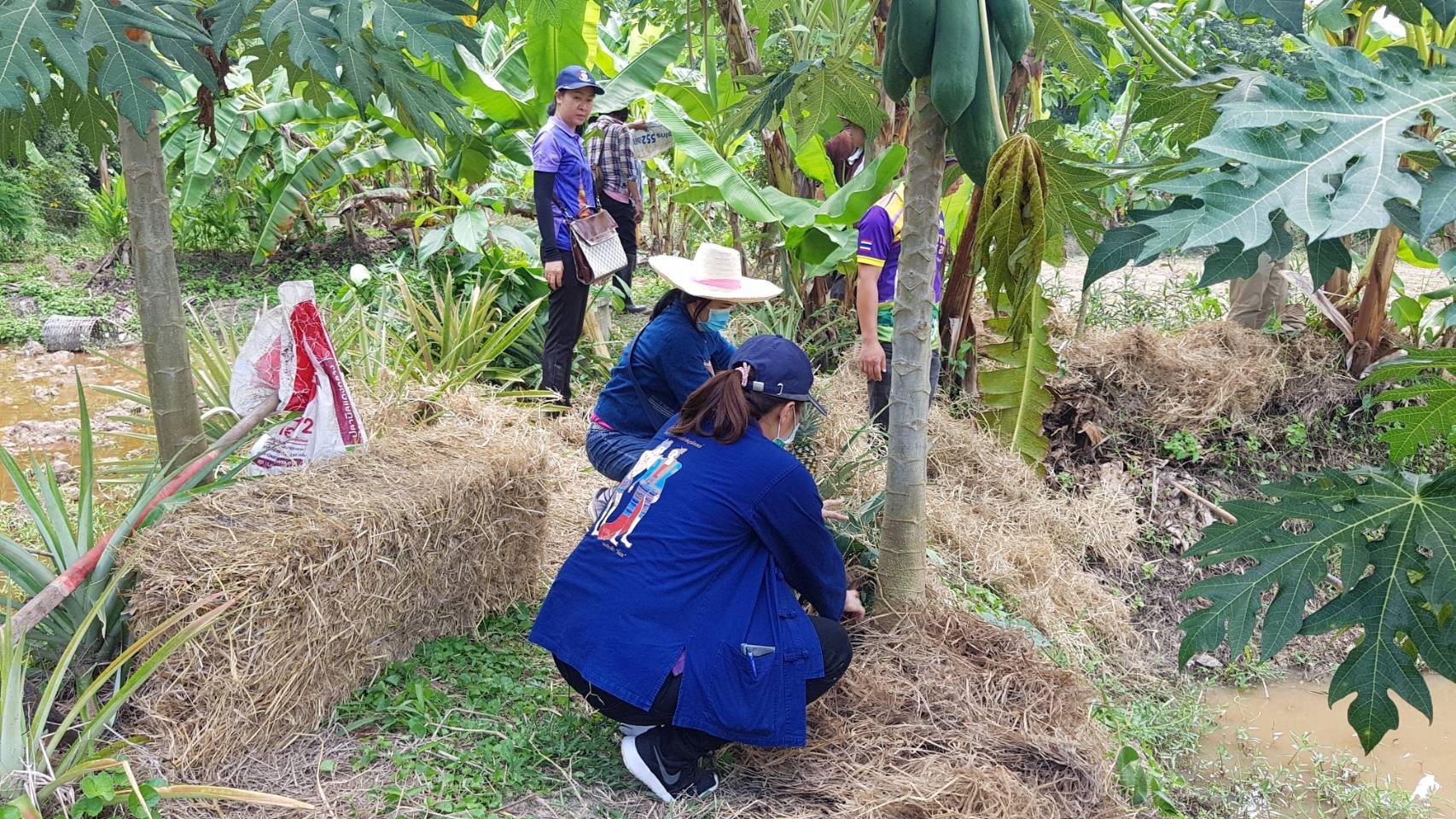 @น่าน “สตรีน่านอาสาพัฒนา ปลูกป่าเฉลิมพระเกียรติ”