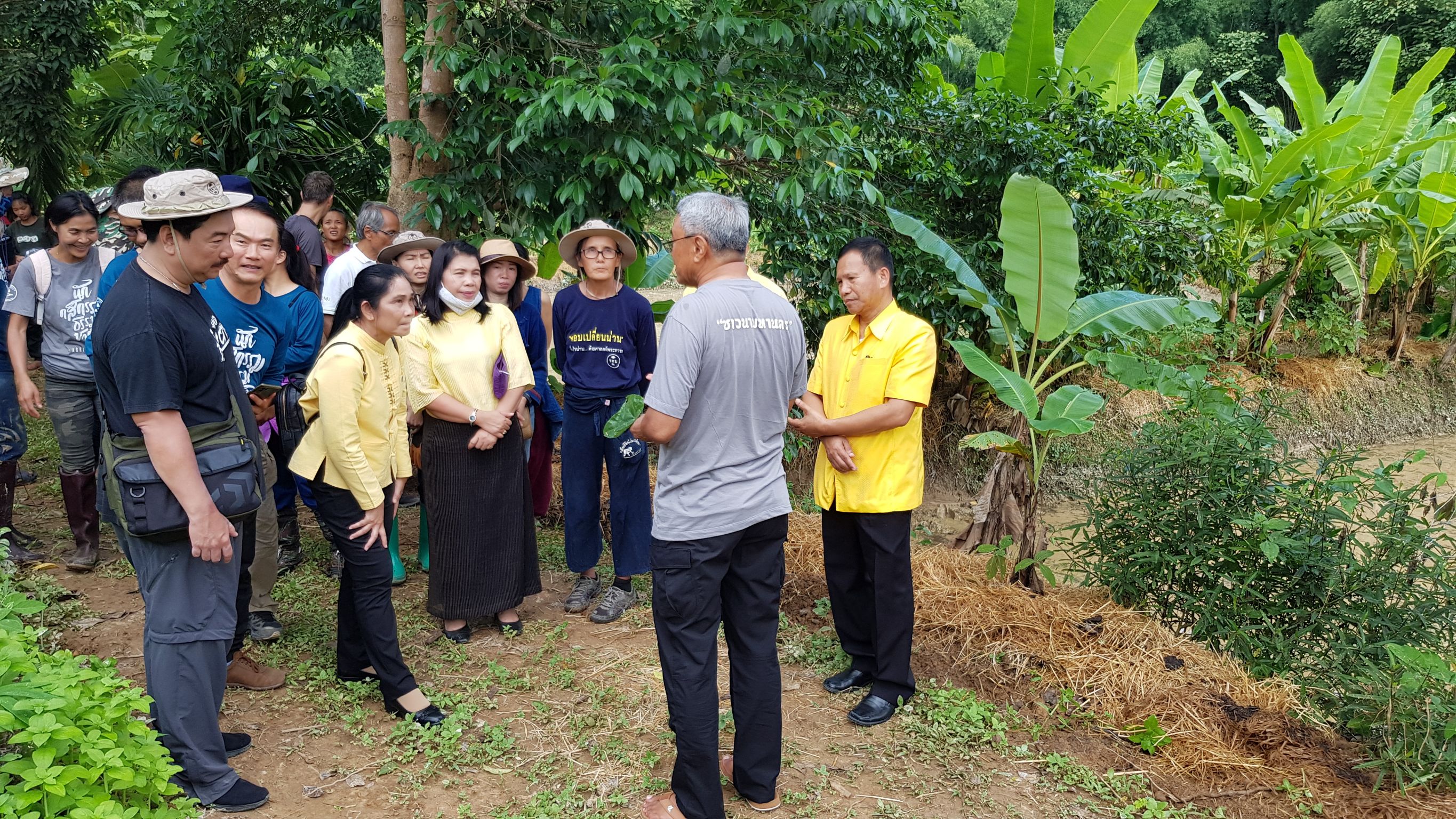 @น่าน : กิจกรรมพื้นที่ต้นแบบการพัฒนาคุณภาพชีวิตตามหลักทฤษฎีใหม่ประยุกต์สู่ “โคก หนอง นา โมเดล”