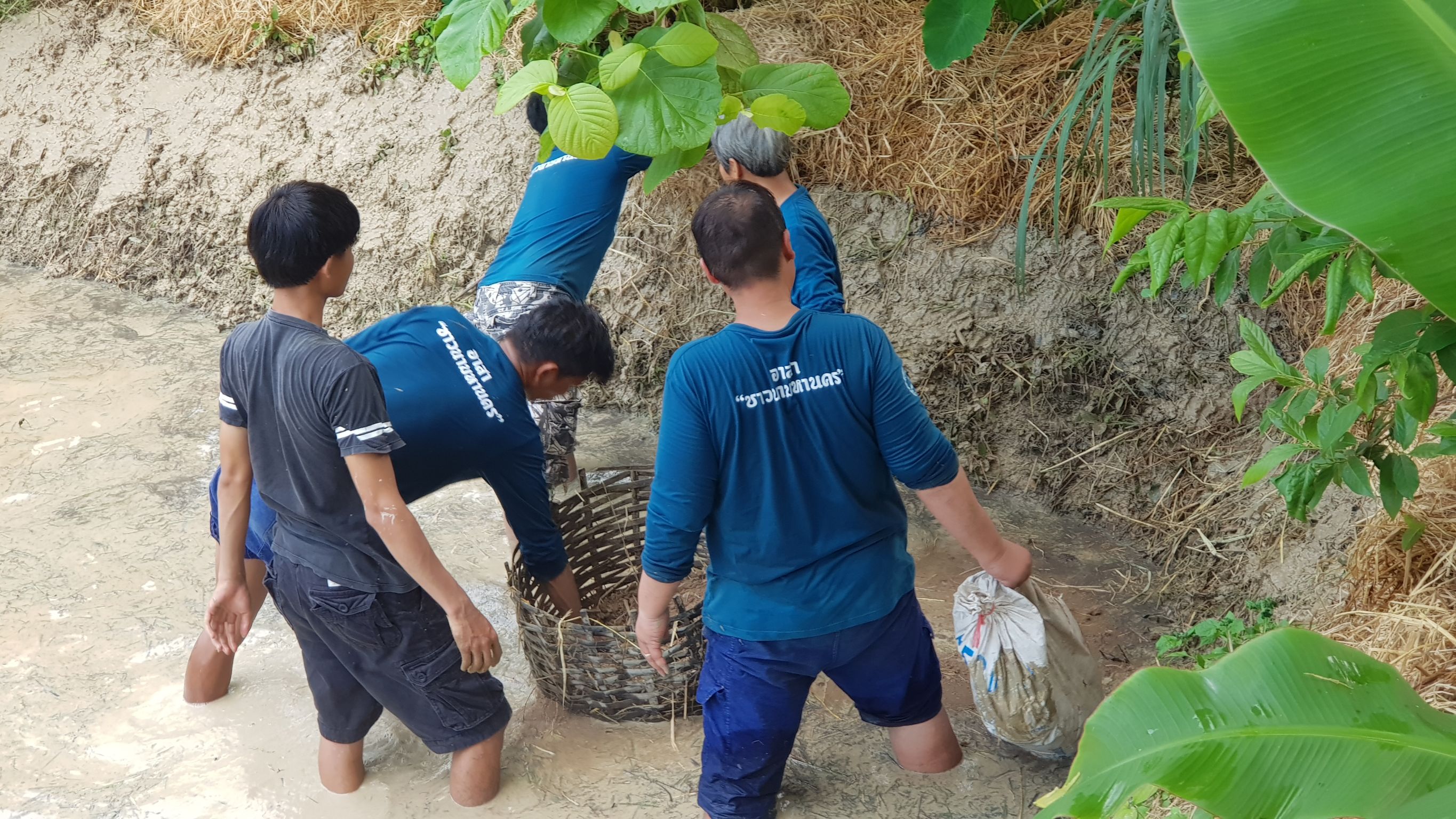 @น่าน : กิจกรรมพื้นที่ต้นแบบการพัฒนาคุณภาพชีวิตตามหลักทฤษฎีใหม่ประยุกต์สู่ “โคก หนอง นา โมเดล”