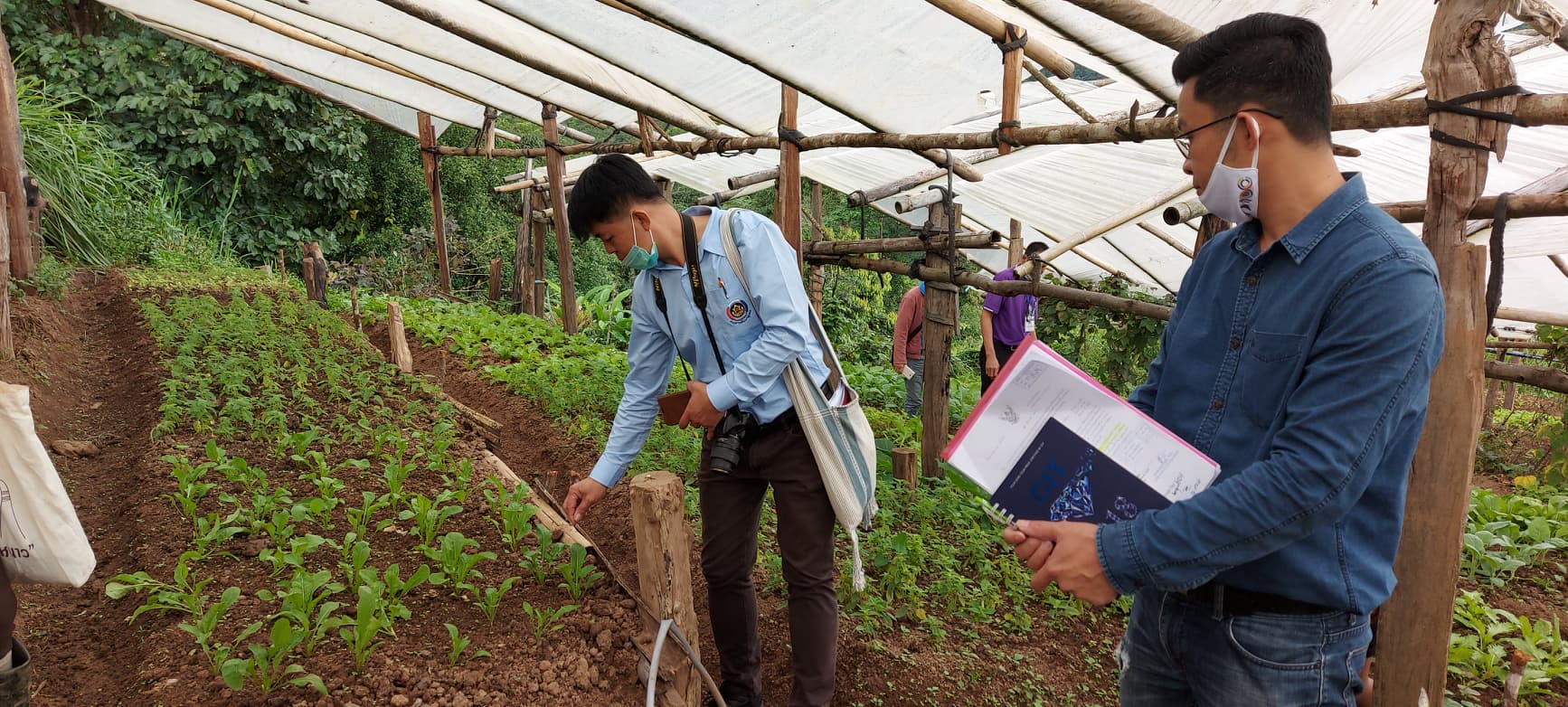 @น่าน : ขับเคลื่อนเครือข่ายเกษตรอินทรีย์ด้วยกลไกประชารัฐจังหวัดน่าน