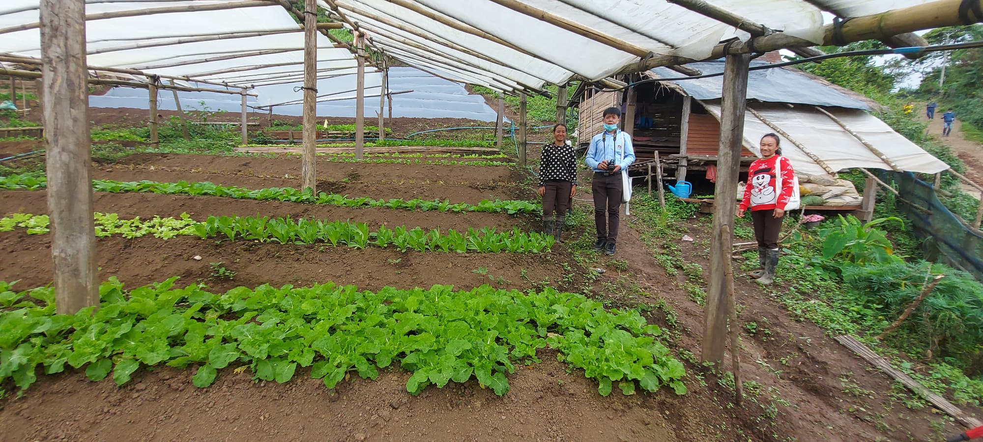 @น่าน : ขับเคลื่อนเครือข่ายเกษตรอินทรีย์ด้วยกลไกประชารัฐจังหวัดน่าน