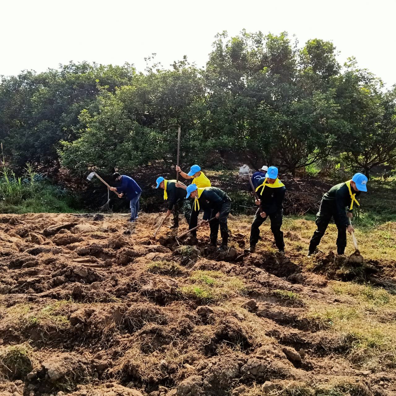 @พช.น่าน : Kick off โครงการพัฒนาพื้นที่ต้นแบบการพัฒนาคุณภาพชีวิตตามหลักทฤษฏีใหม่ประยุกต์สู่ “โคก หนอง นา โมเดล”