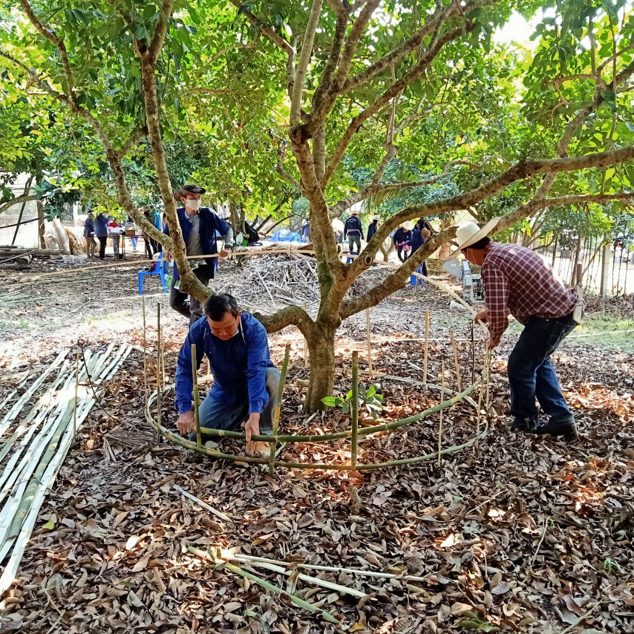 @พช.น่าน : Kick off โครงการพัฒนาพื้นที่ต้นแบบการพัฒนาคุณภาพชีวิตตามหลักทฤษฏีใหม่ประยุกต์สู่ “โคก หนอง นา โมเดล”