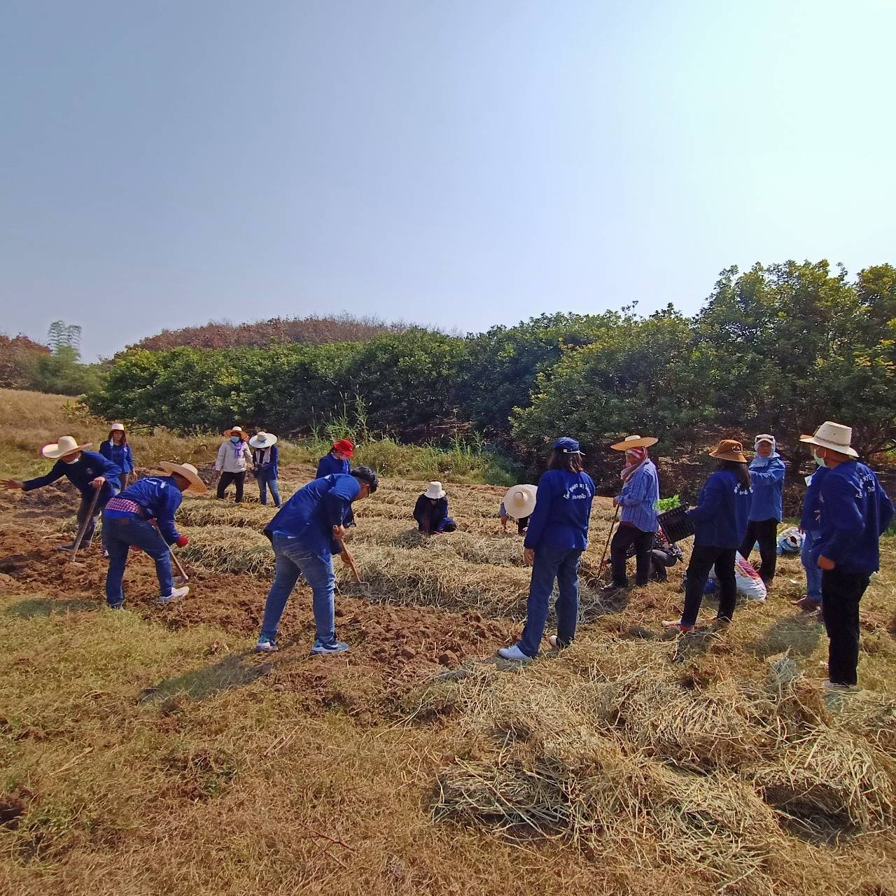 @พช.น่าน : Kick off โครงการพัฒนาพื้นที่ต้นแบบการพัฒนาคุณภาพชีวิตตามหลักทฤษฏีใหม่ประยุกต์สู่ “โคก หนอง นา โมเดล”